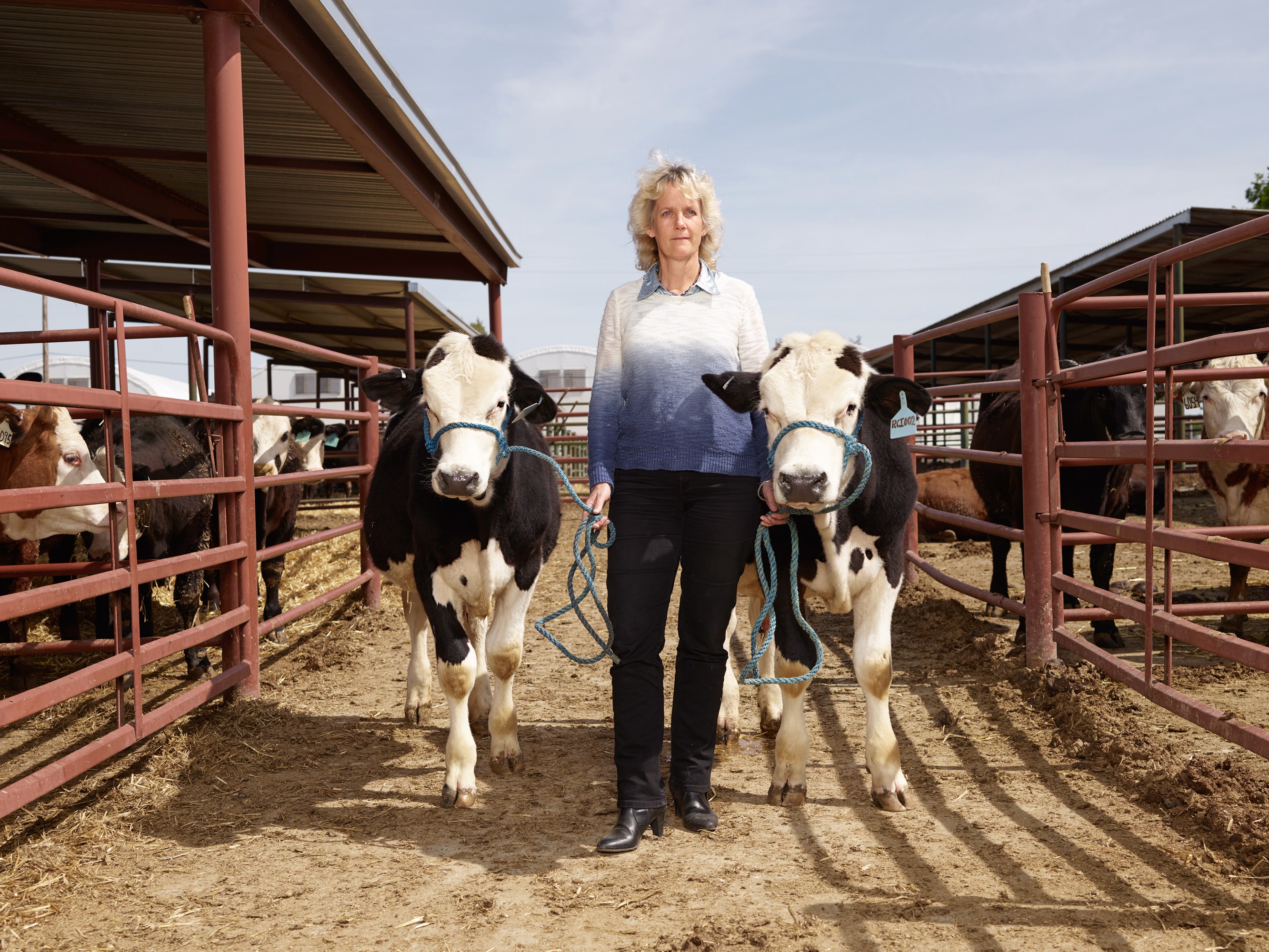2665px x 2000px - Meet the Woman Using CRISPR to Breed All-Male â€œTerminator Cattleâ€ | MIT  Technology Review