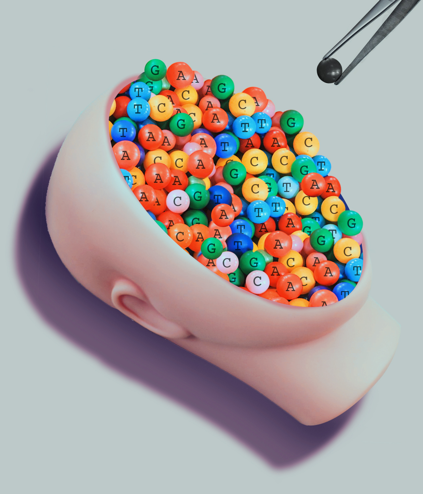 Photo illustration of a doll&#039;s face filled with colorful beads each containing a letter of a nucleotide. A black, unmarked bead appears in a set of tweezers above the face.