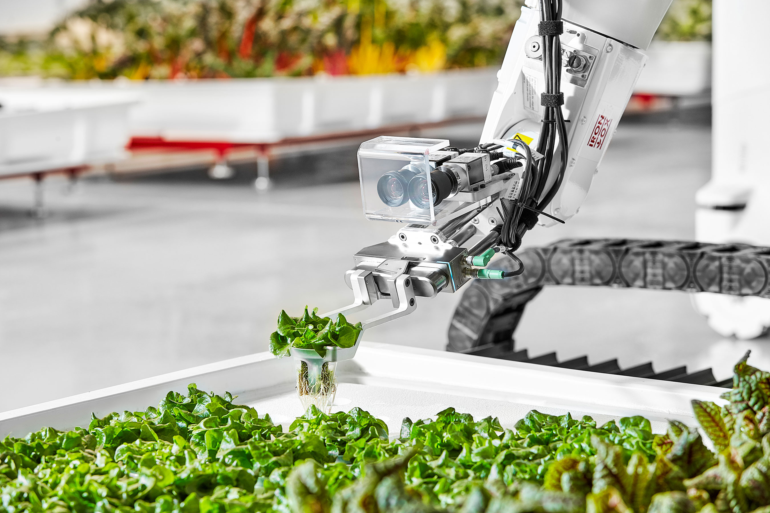 New autonomous farm to produce food without human workers MIT Technology Review