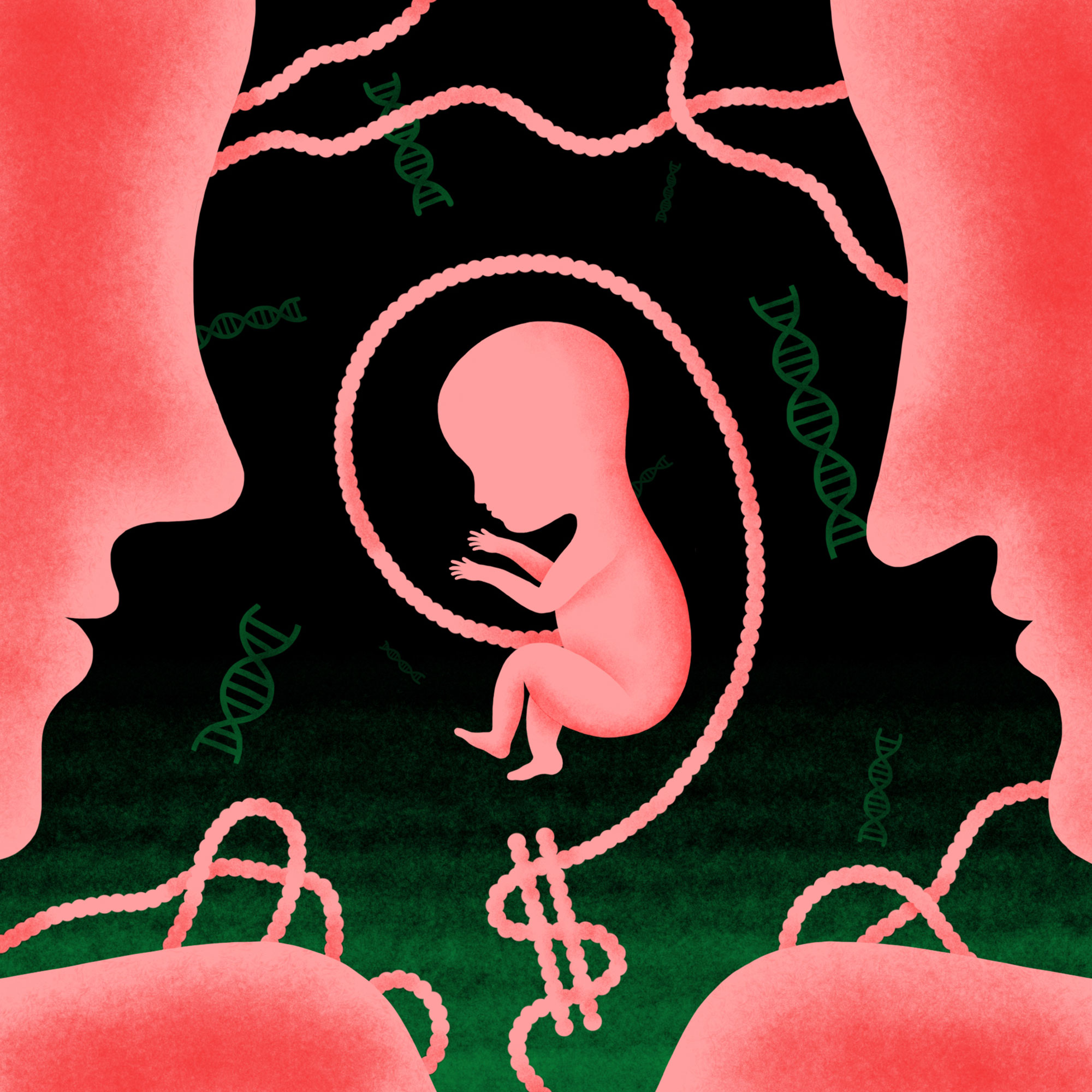 Illustration of a fetus between the profiles of a man and a woman. The umbilical cord is forming a dollar sign.
