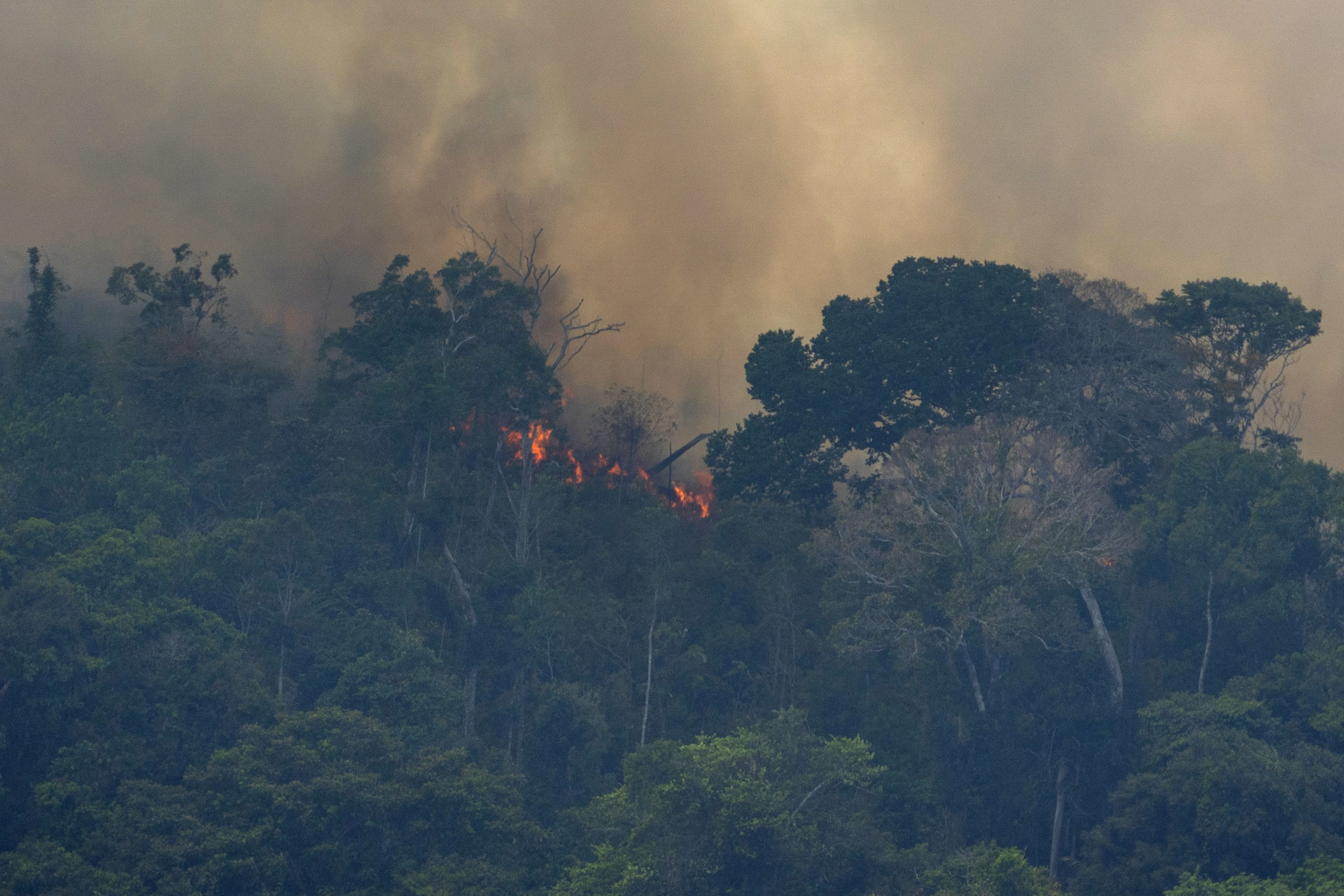 Photo of the Amazon rainforest wildfire
