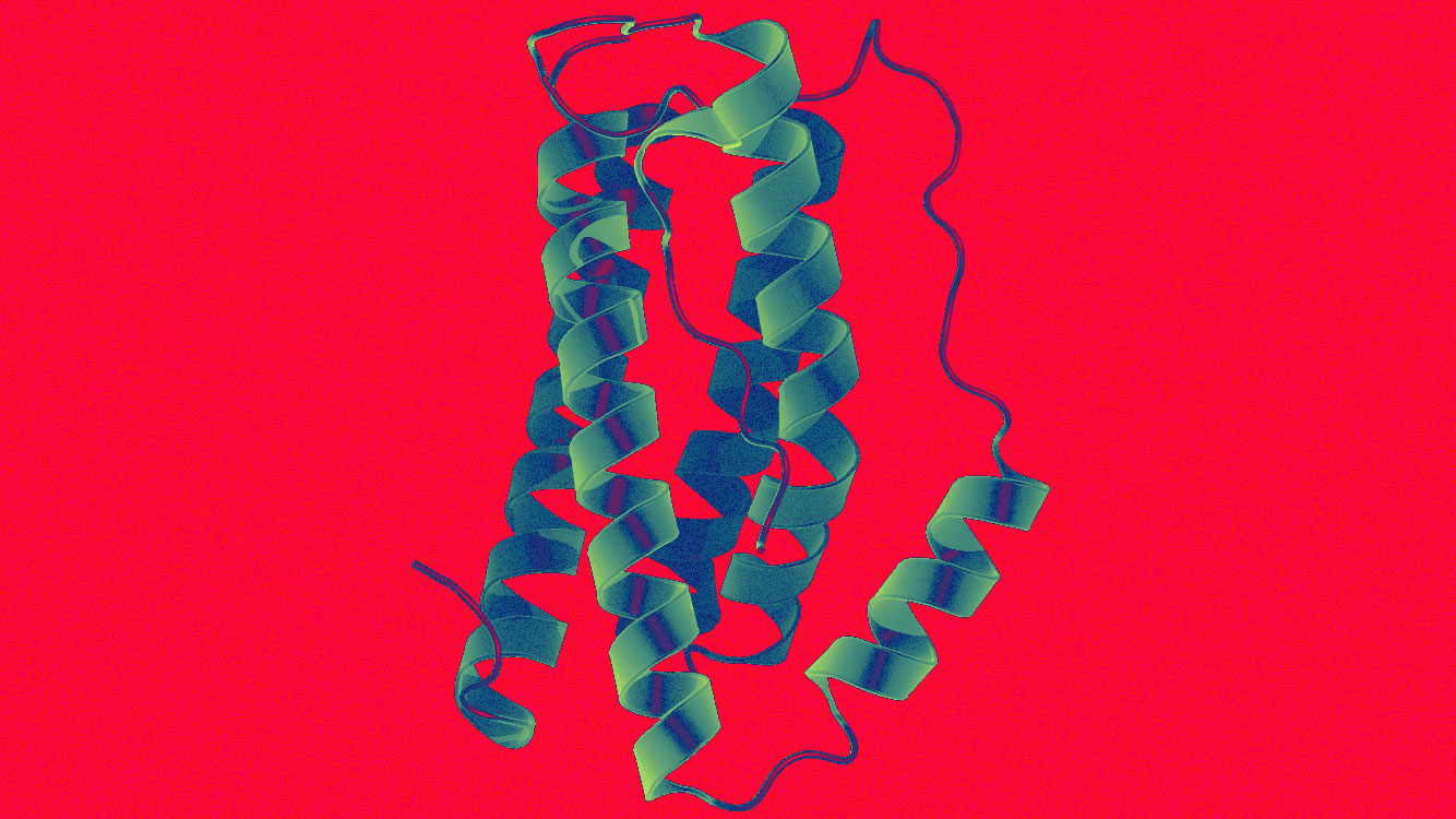 Crystal structure of IL-6 as published in the Protein Data Bank