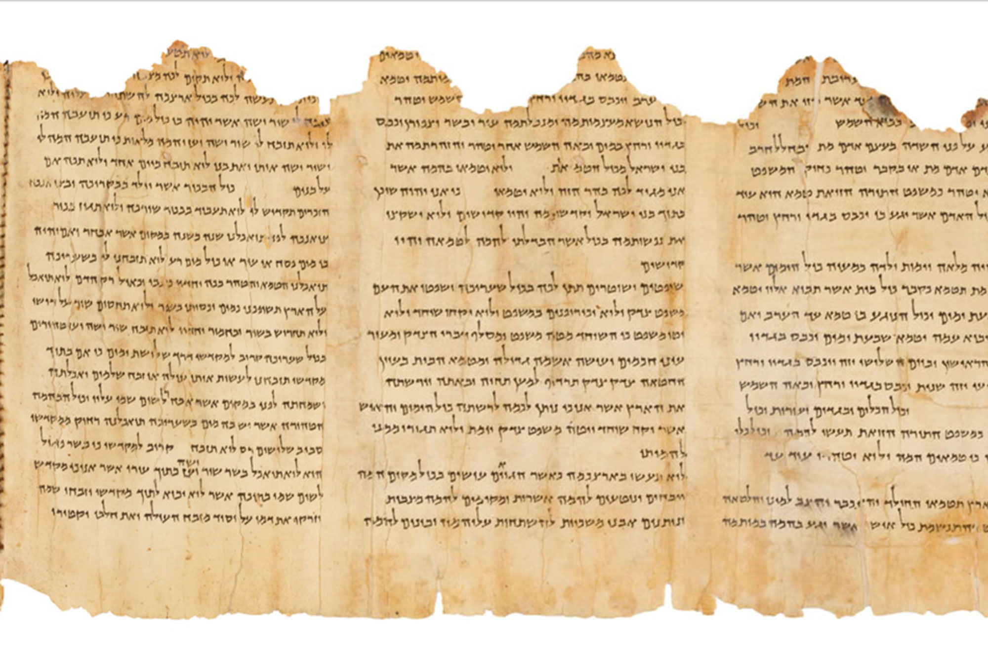Temple Scroll