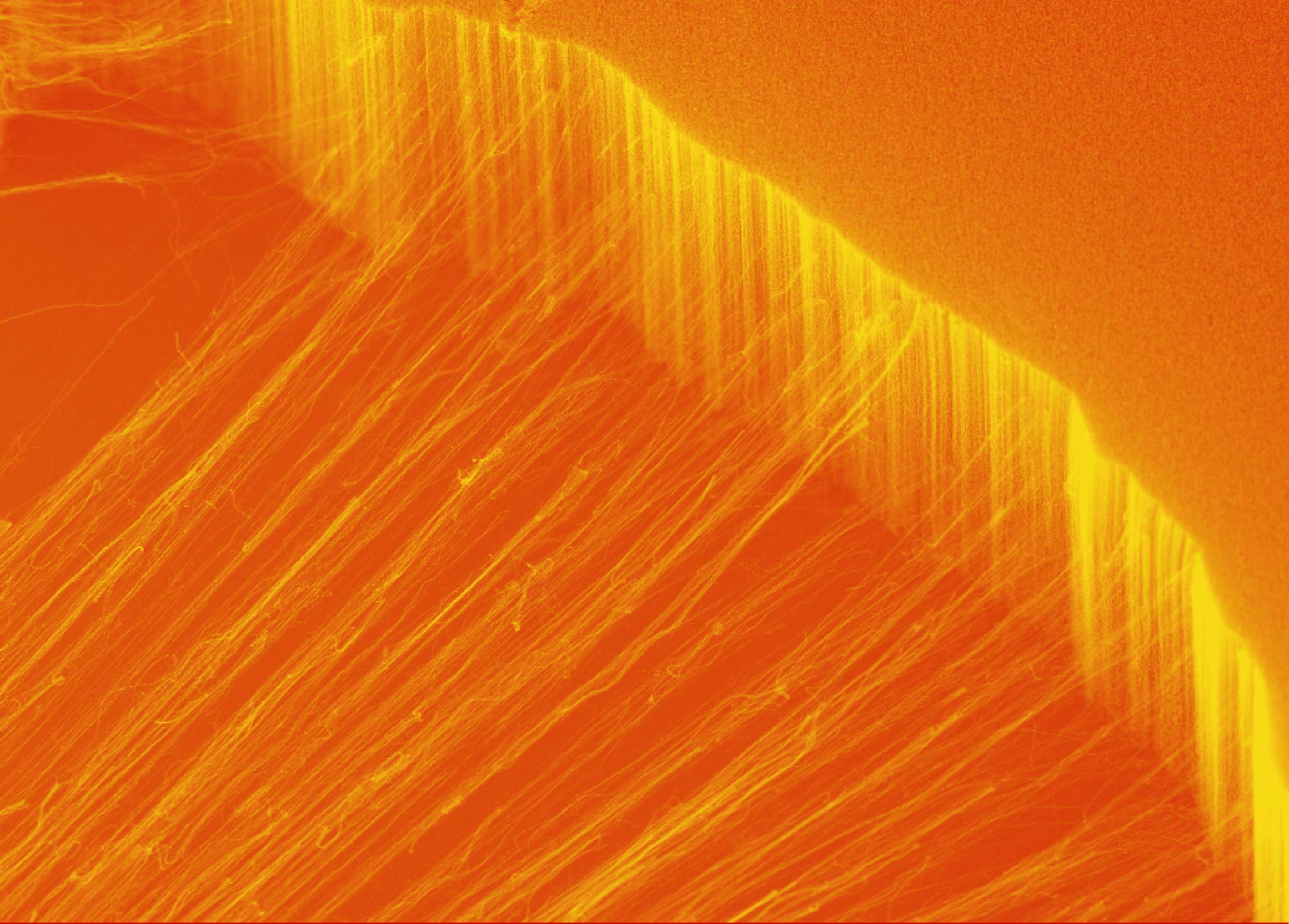 photograph of nanotubes being created