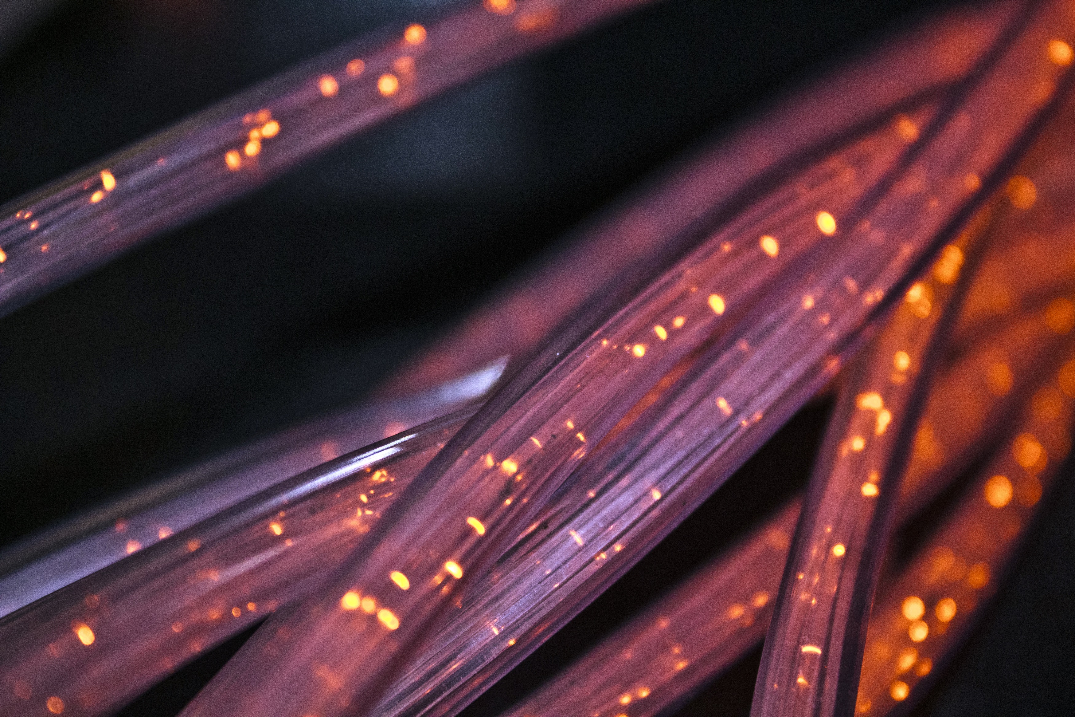 An image of optical fiber
