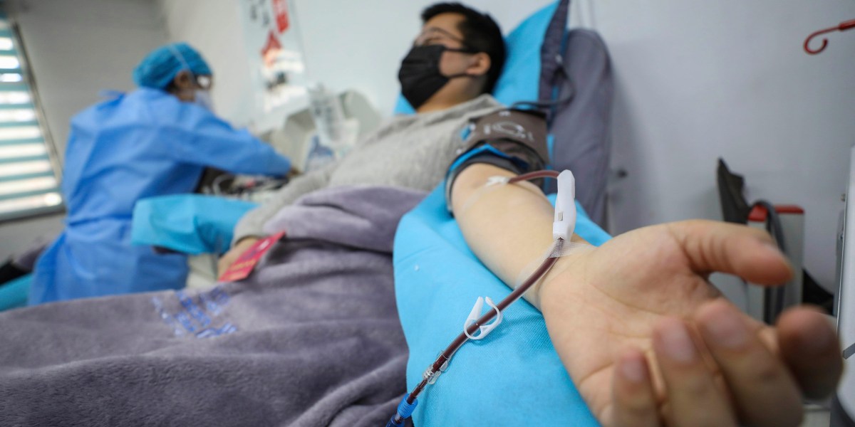 Blood plasma taken from covid-19 survivors might help patients fight off the disease