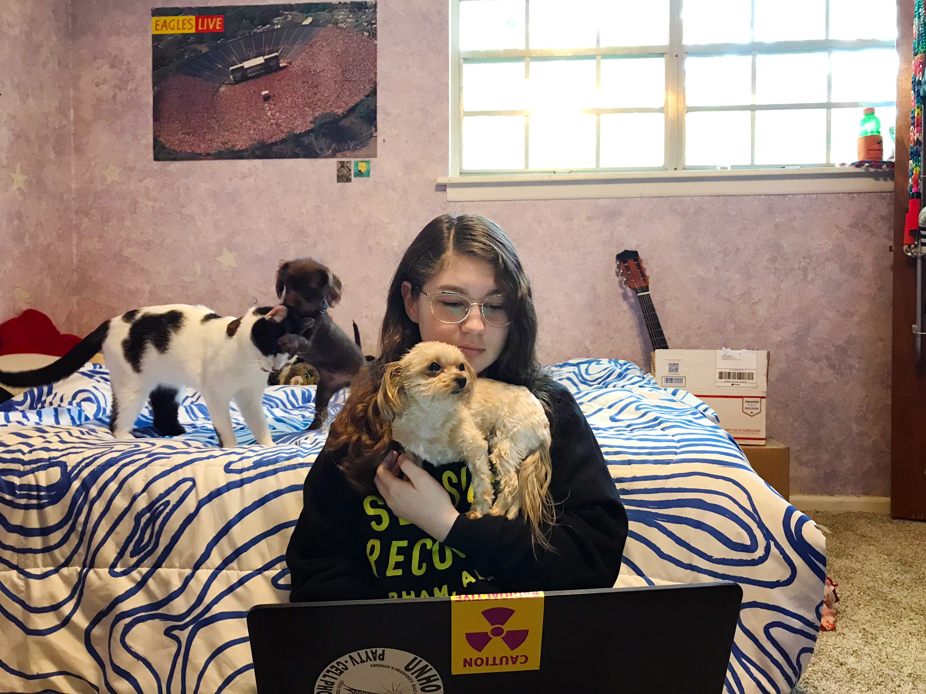 Abby with homework and puppies