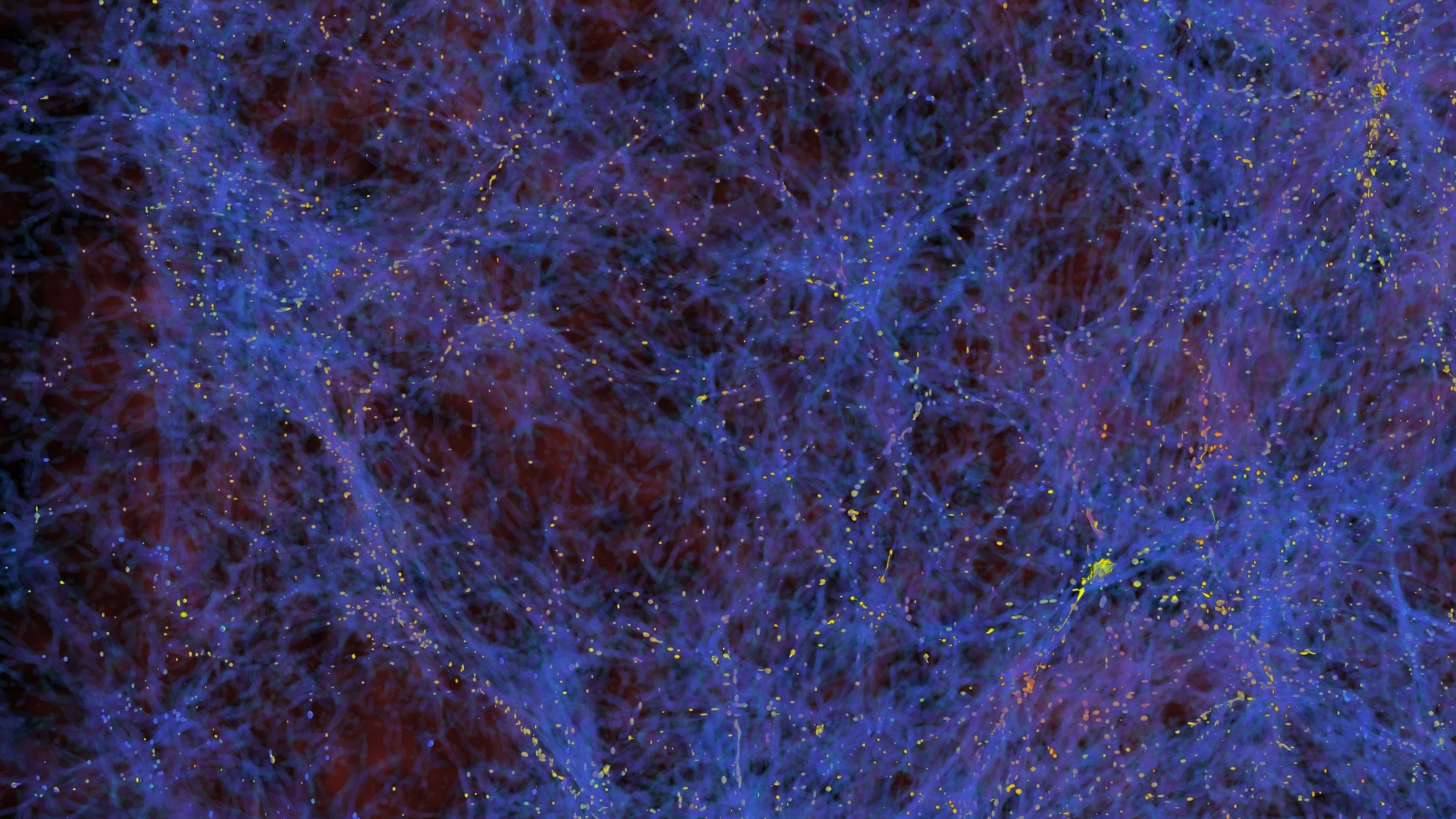 Simulation of the large scale structure in the universe, showing density filaments in blue and places of galaxy formation in yellow.