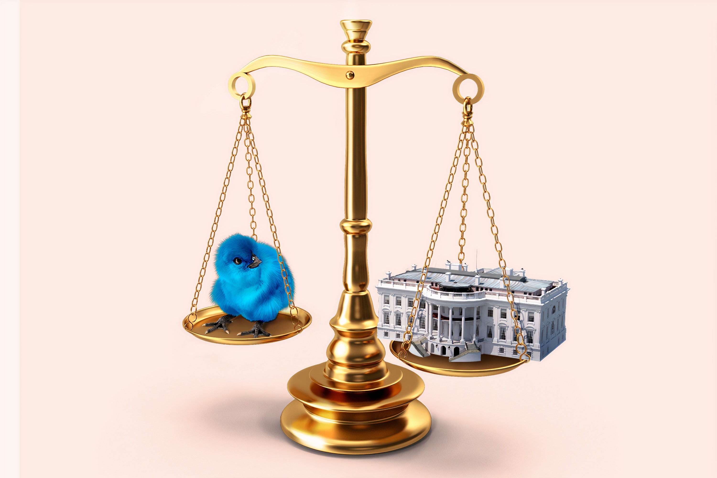 A blue bird balances on a set of scales across from the White House.