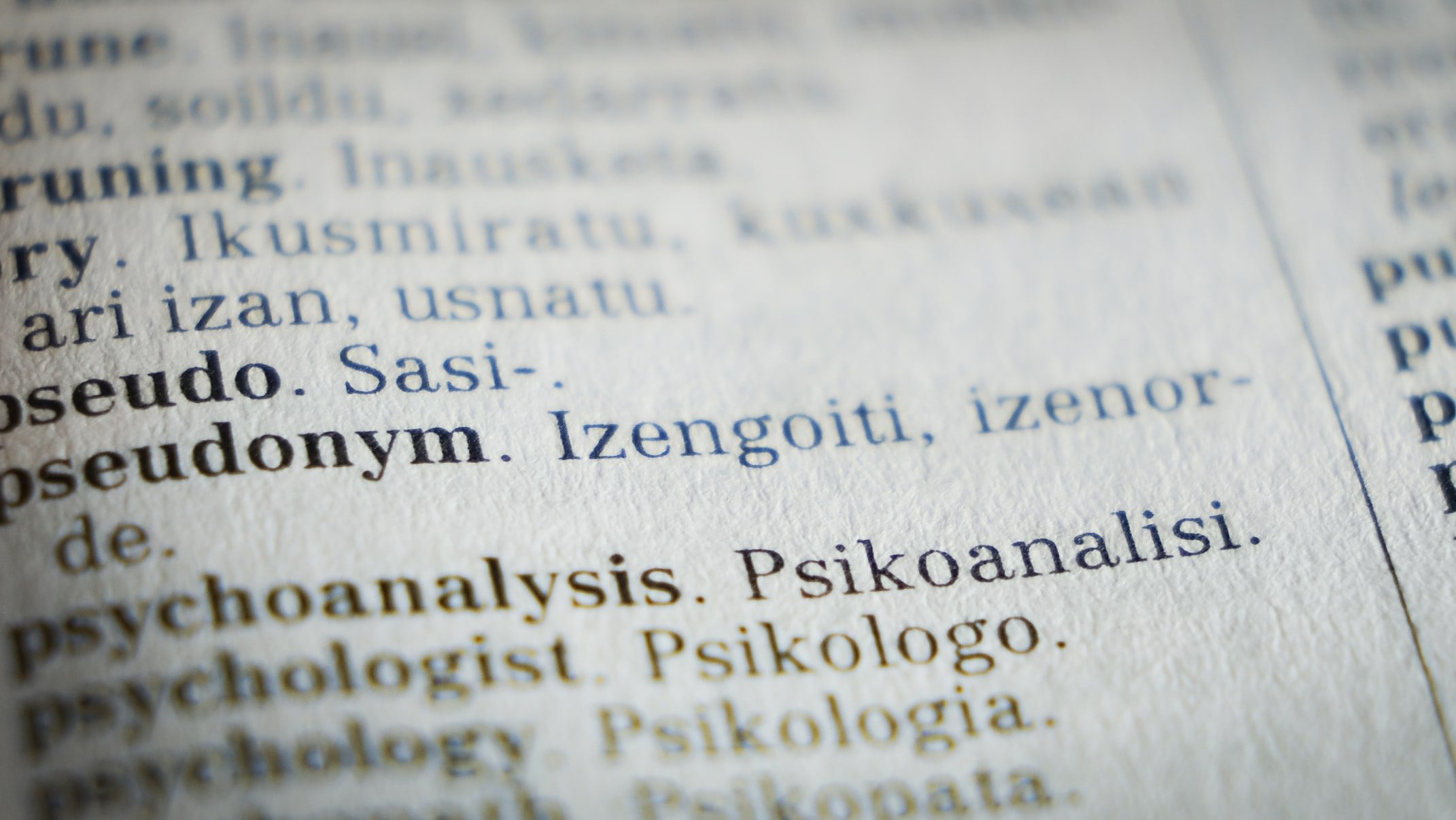 An English-Basque dictionary