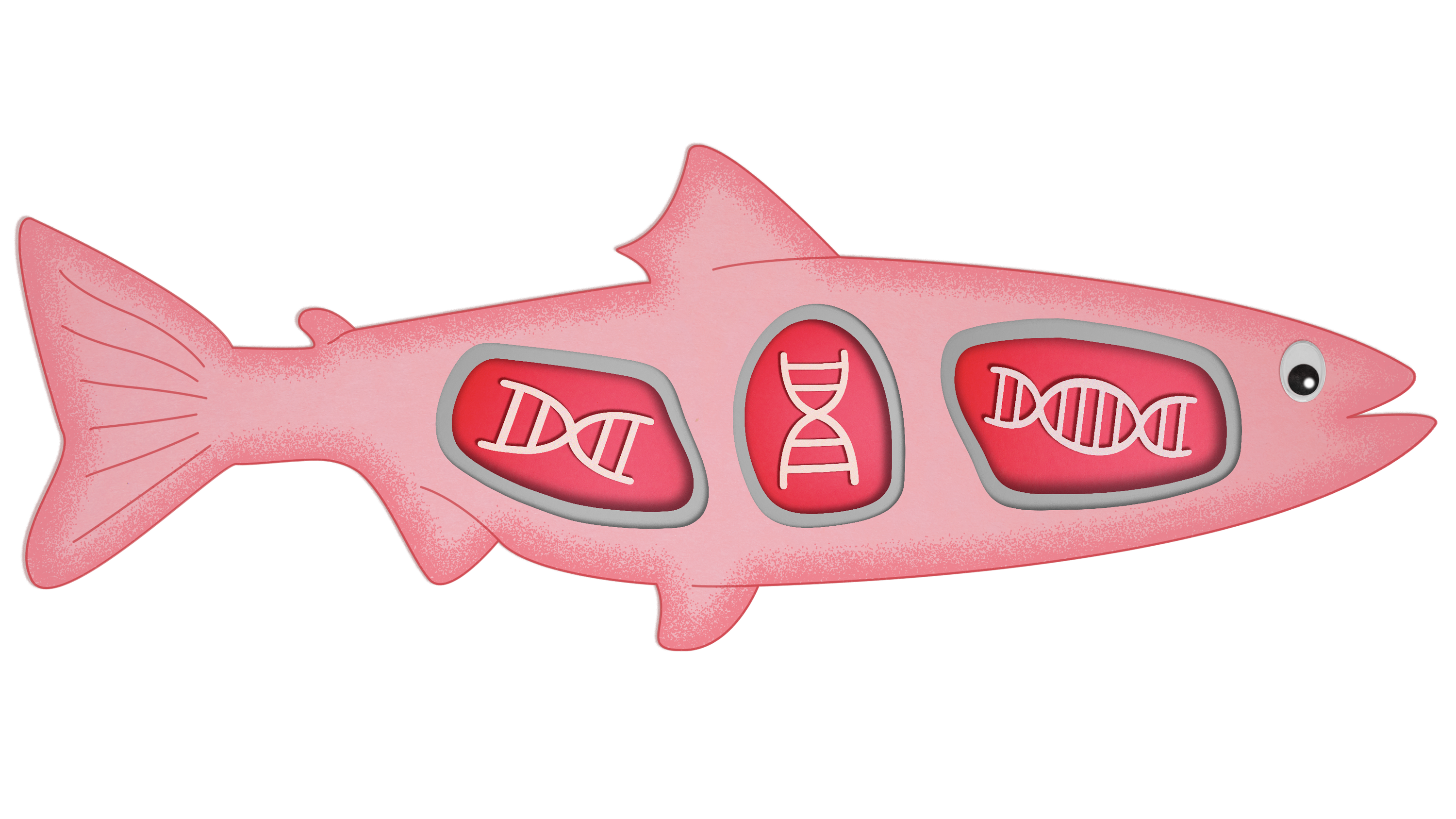 What's on the GMO menu: fast-growing salmon and slow-swimming tuna | MIT  Technology Review