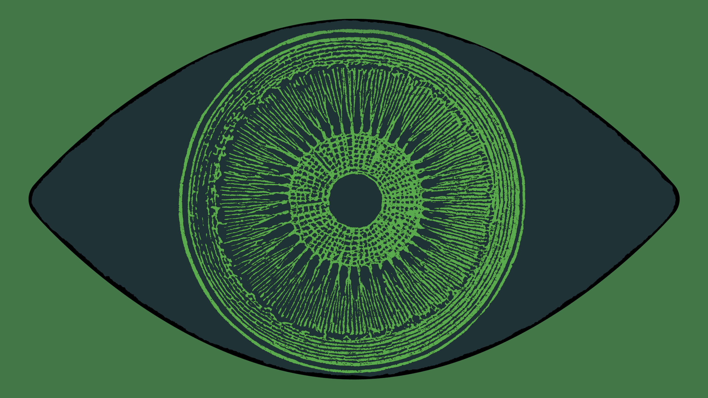 algae eye concept