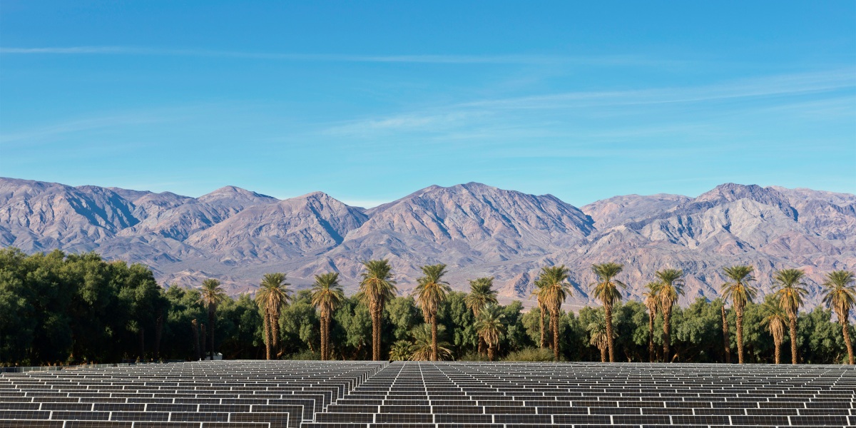 Plummeting sunny day solar prices are undermining the economic case to build more solar farms – and putting climate goals at risk. A few lonely acad