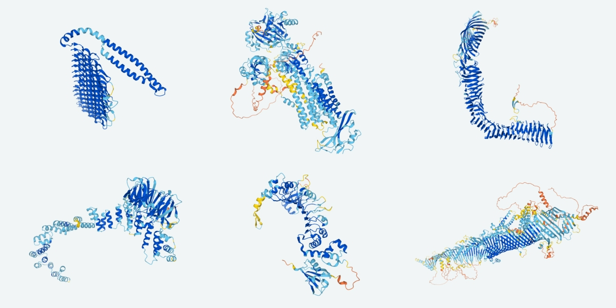 Photo of DeepMind says it will release the structure of every protein known to science