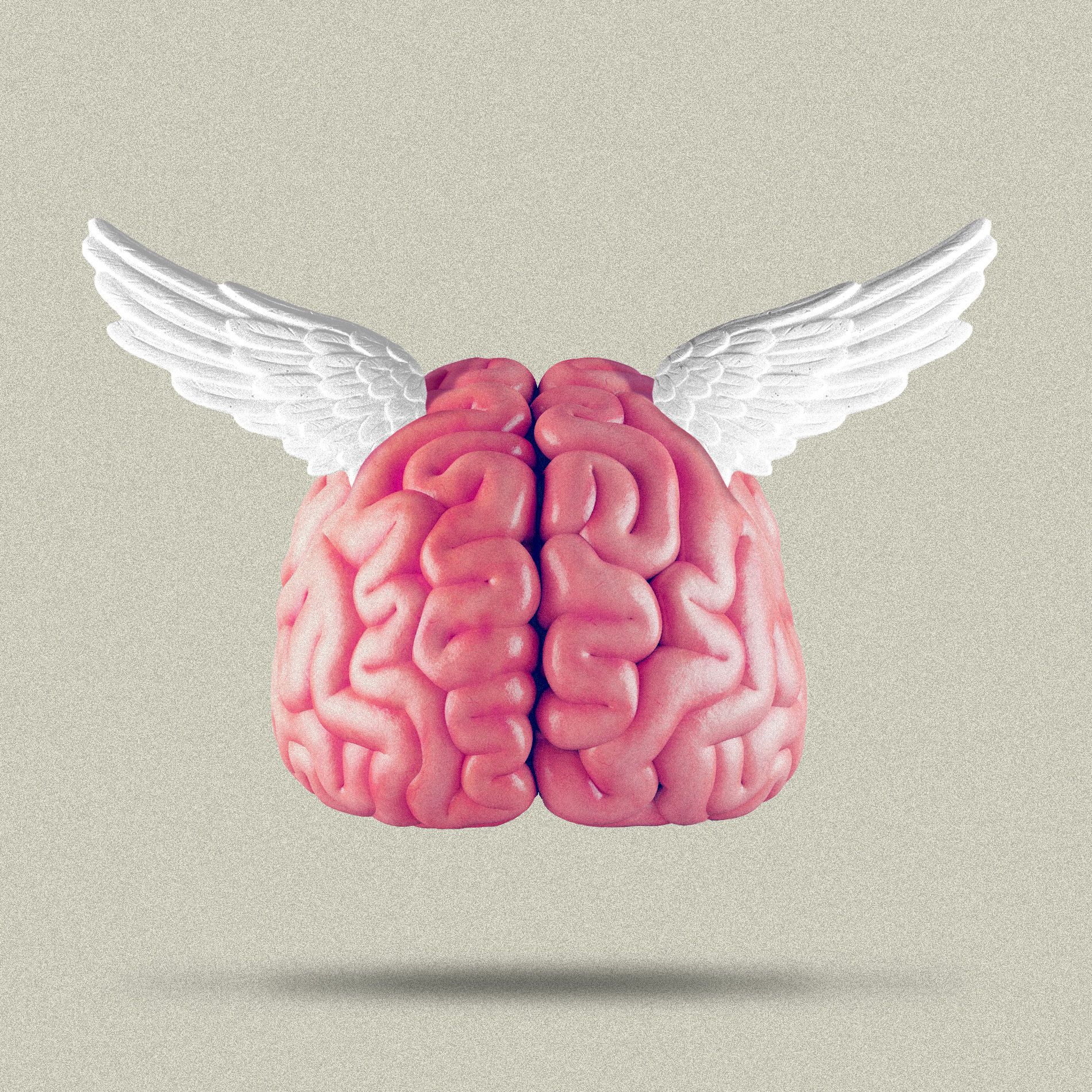 cerebro con alas ilustracion
