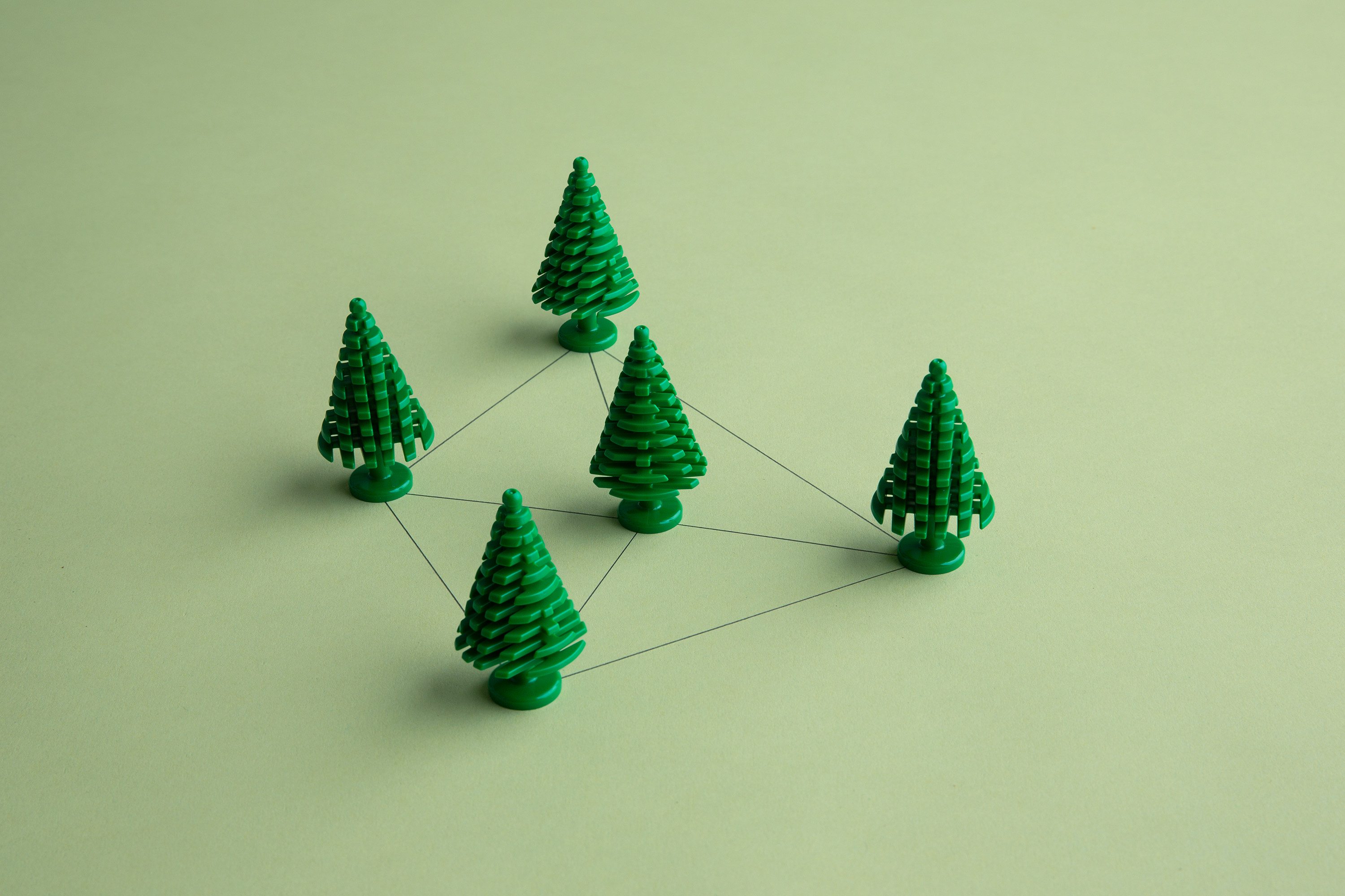 Small toy trees