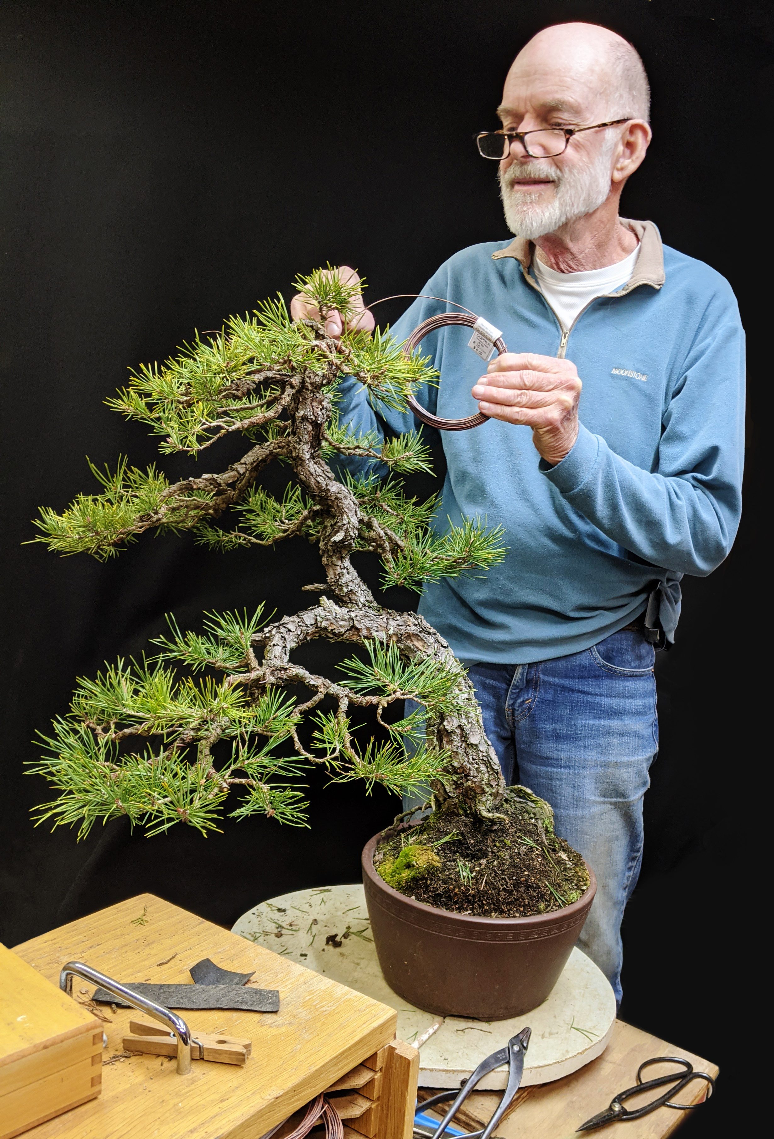 Julian Adams cares for bonsai tree