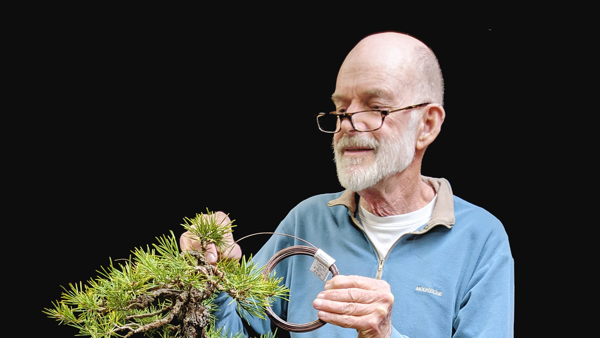 Julian Adams cares for bonsai tree