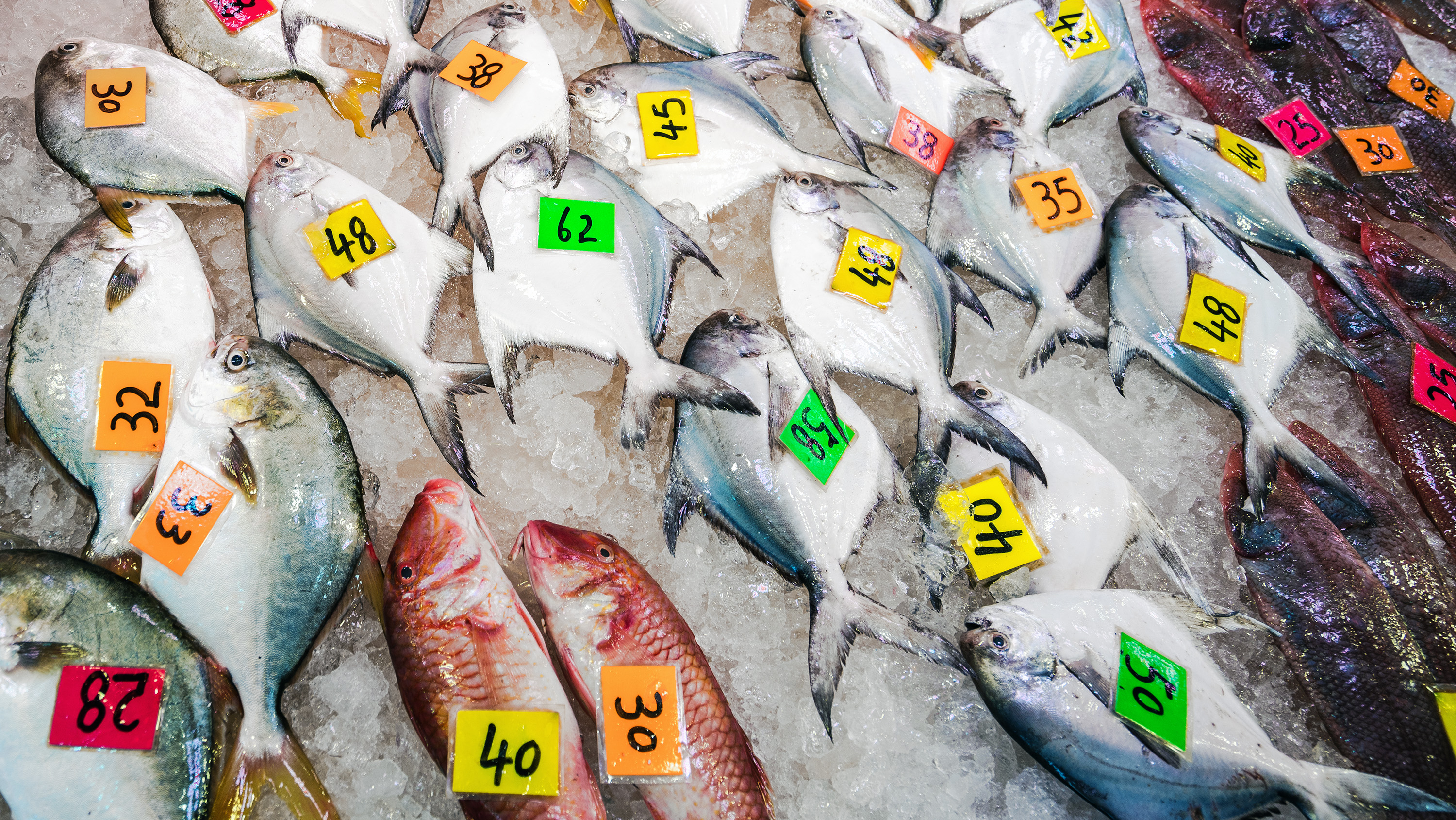 wet market selling fish