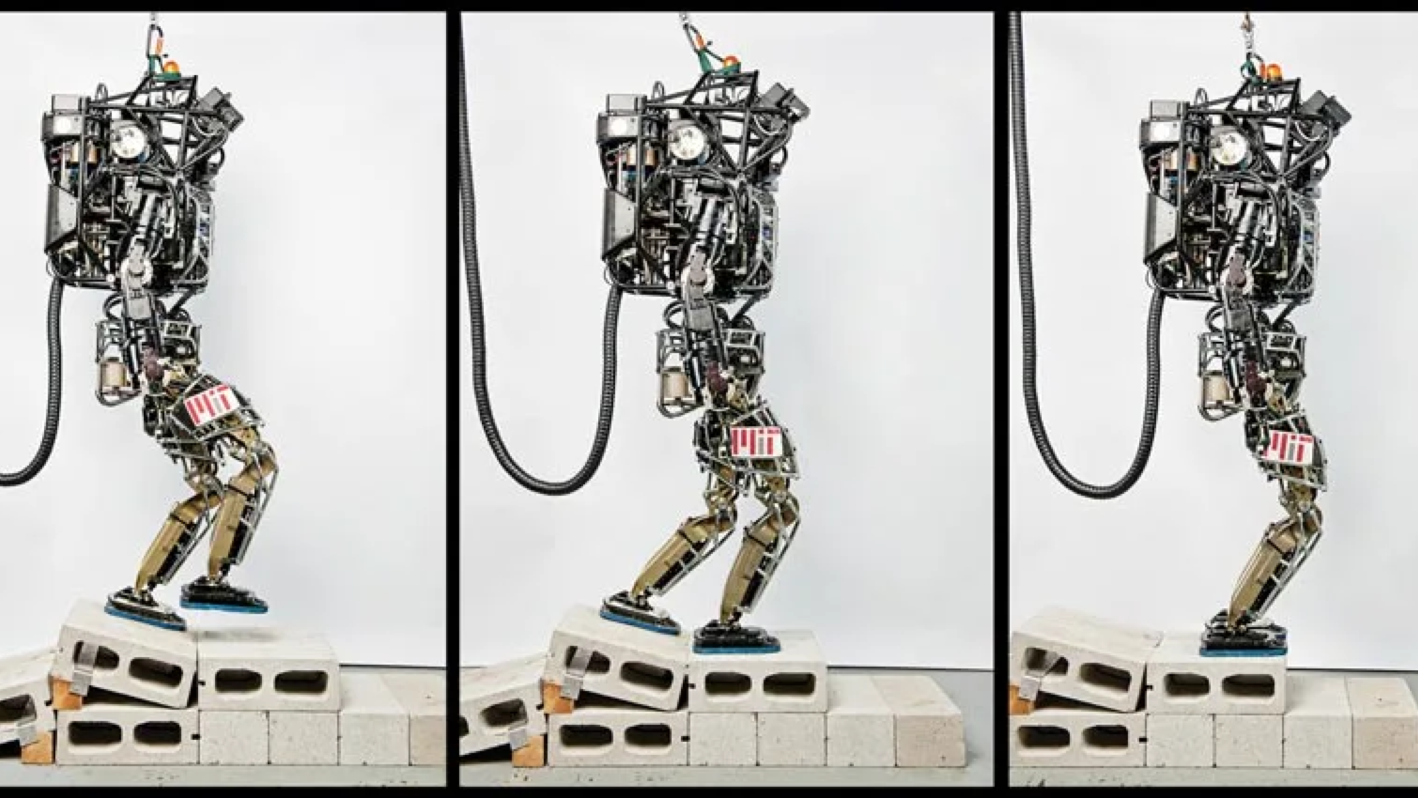 Agile Robots, tr10 2014 thumbnail