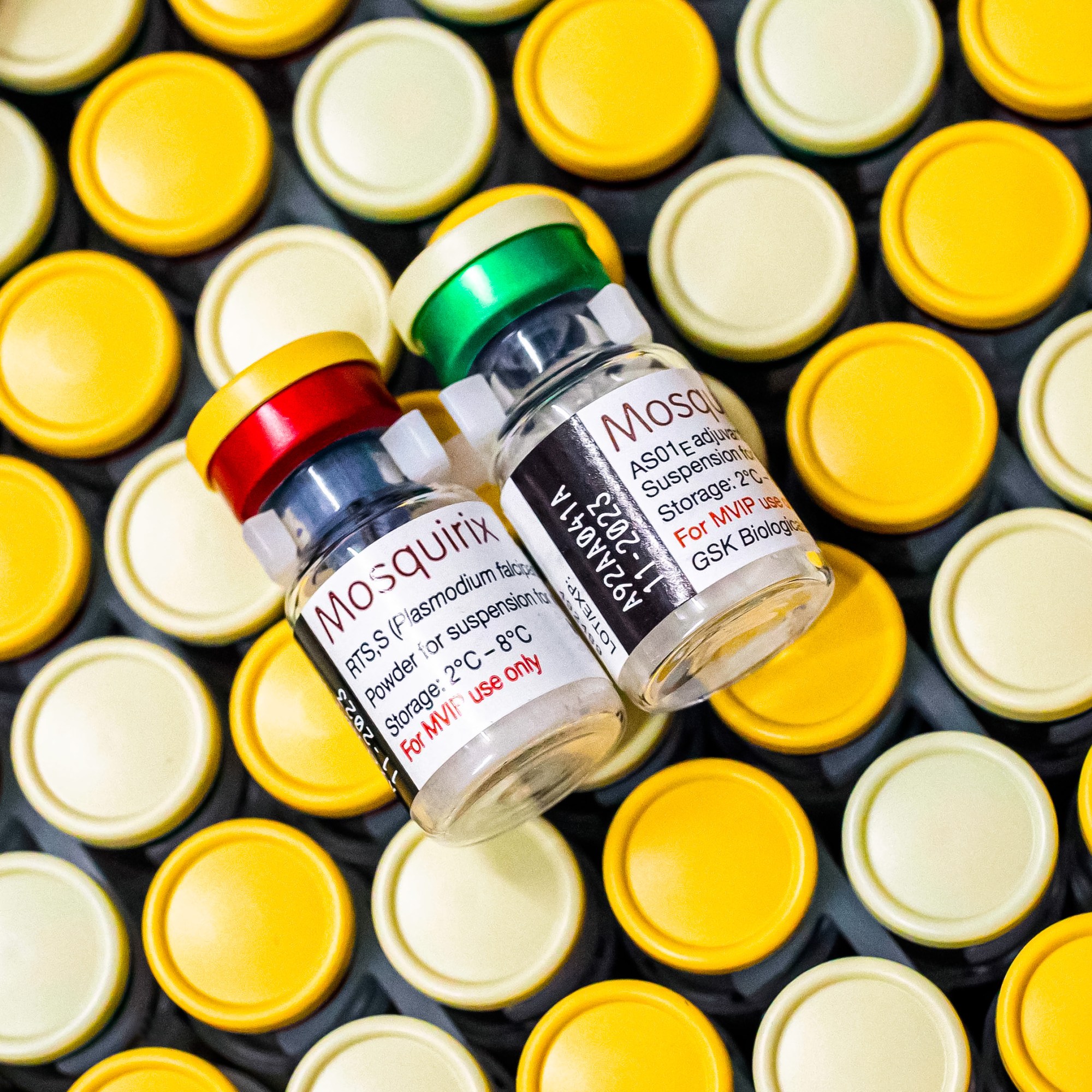 mosquirix vaccine bottles