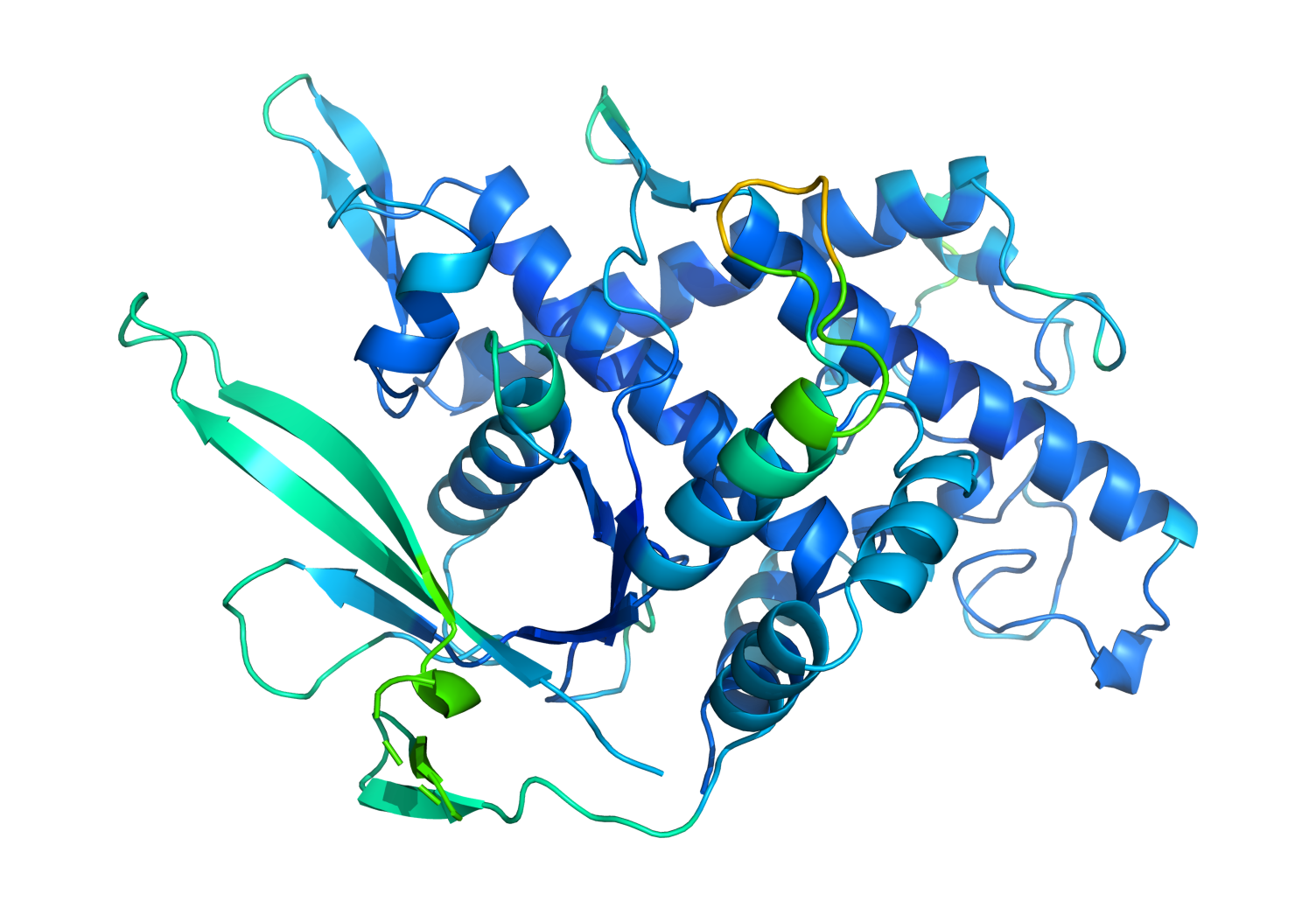 A model generated by AlphaFold shows how amino acids fold to form a protein.