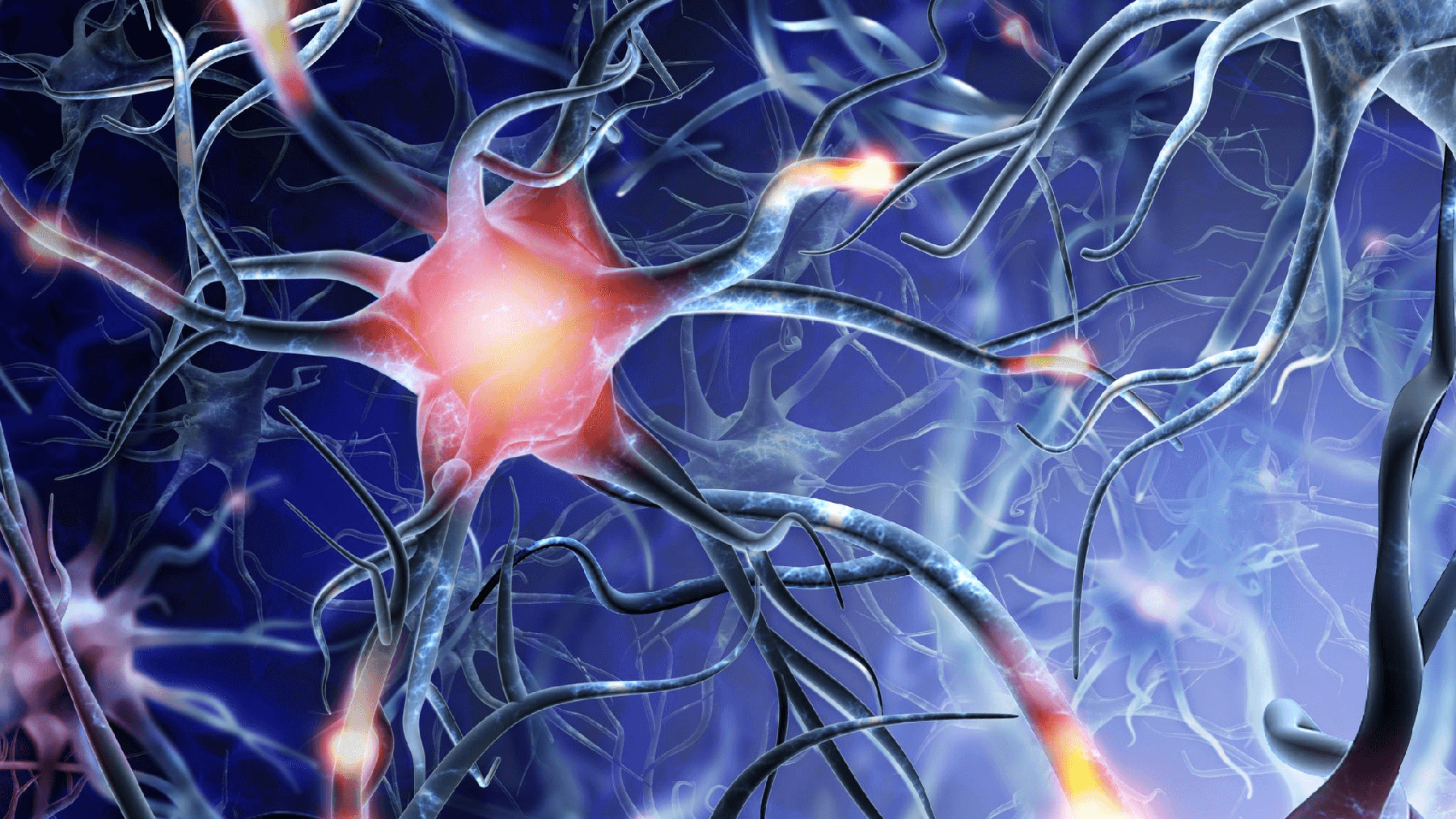 stock image of lit-up neuron
