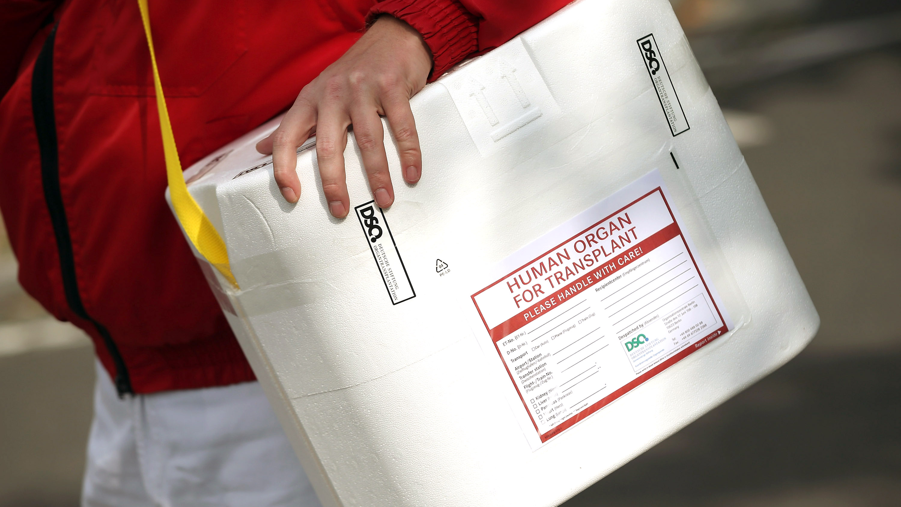 person carrying styrofoam box used for transporting human organs