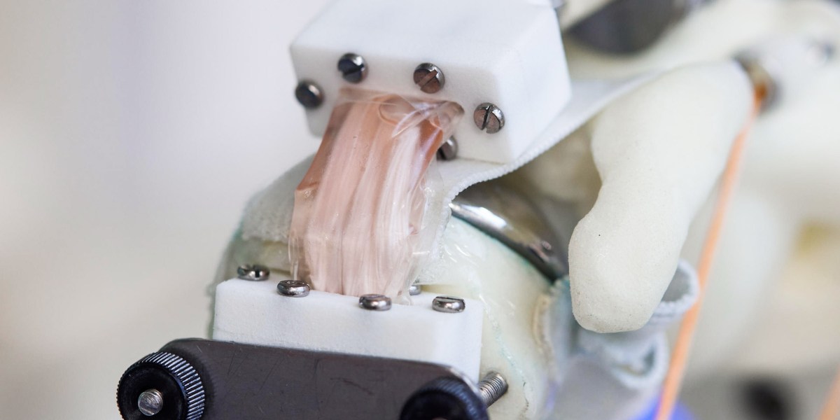 Un hombro robótico podría facilitar el cultivo de tejido humano utilizable
