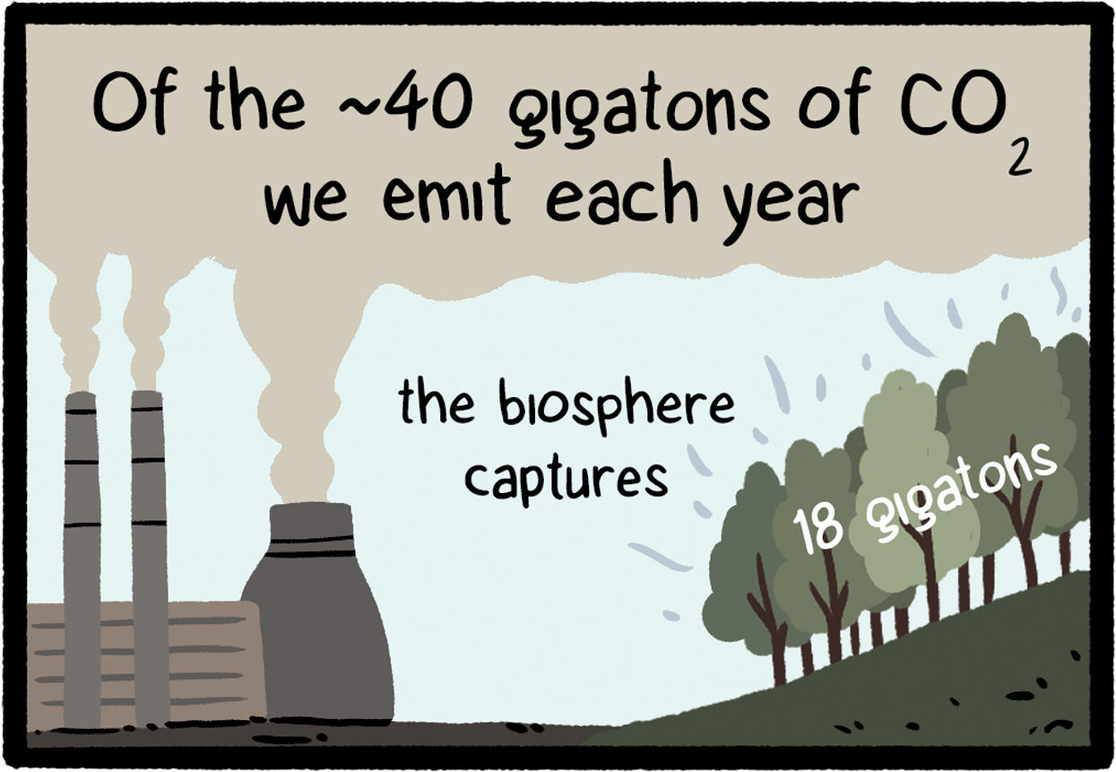 factory smokestacks and trees with text: Of the ~40 gigatons of C-O-2 we emit each year the biosphere captures 18 gigatons.