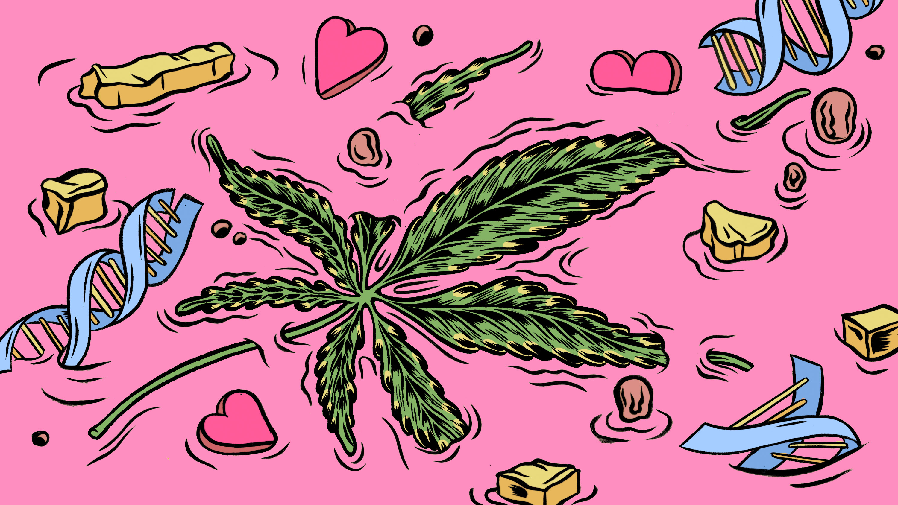 The weed influencer and the scientist feuding over why some stoners  incessantly puke | MIT Technology Review
