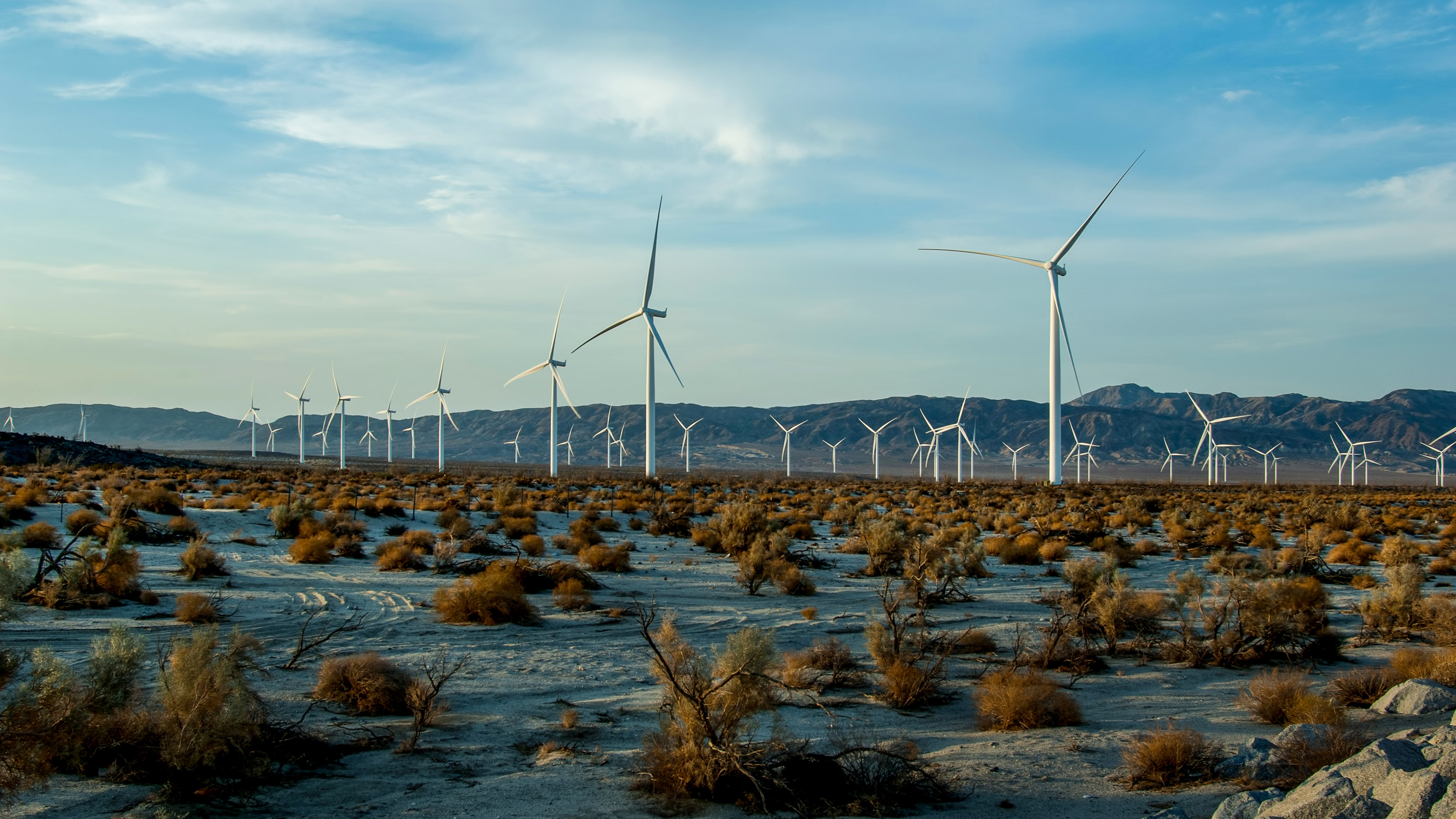 wind turbines in San Diego county