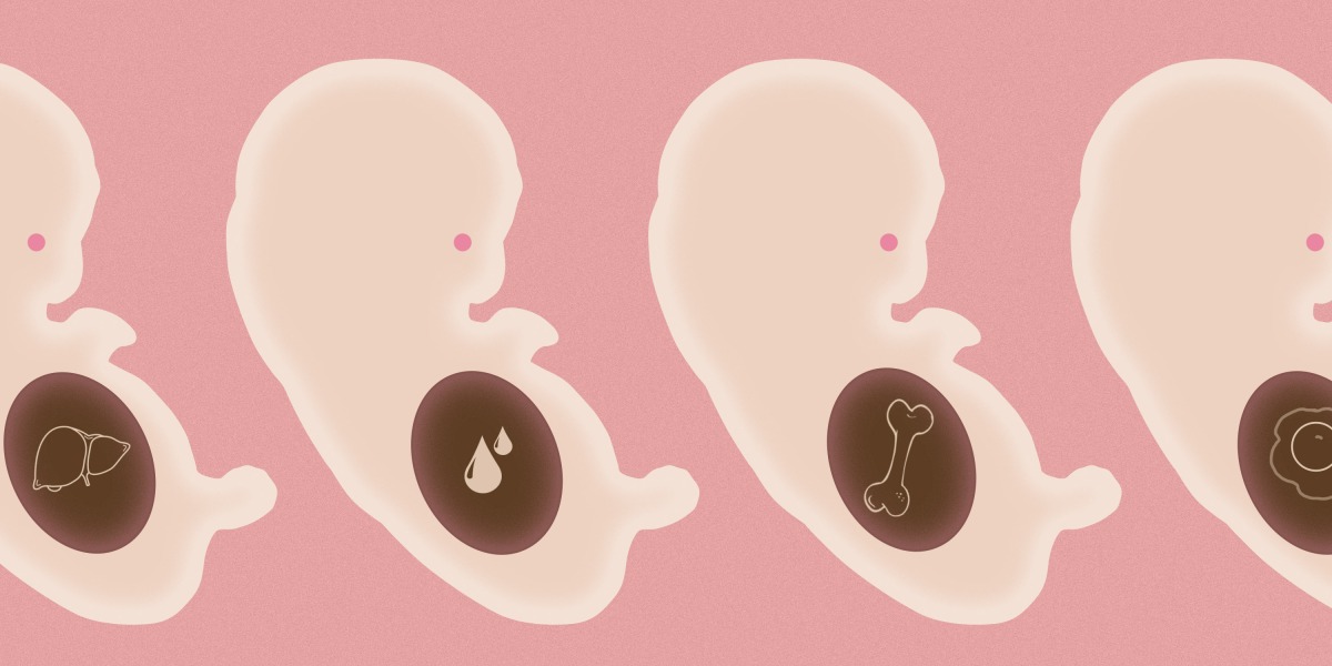 This startup needs to repeat you into an embryo for organ harvesting