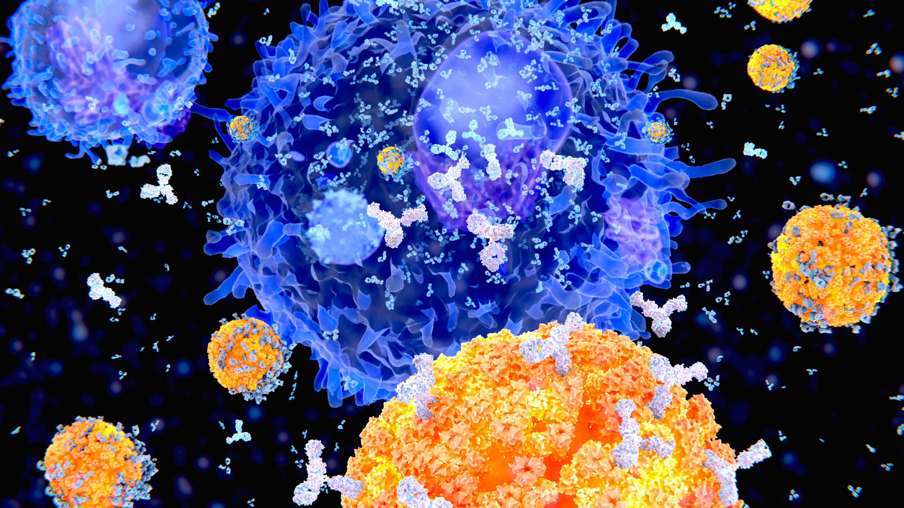 Computer illustration of plasma cells (B-cells, orange) secreting antibodies (white) against viruses (blue).