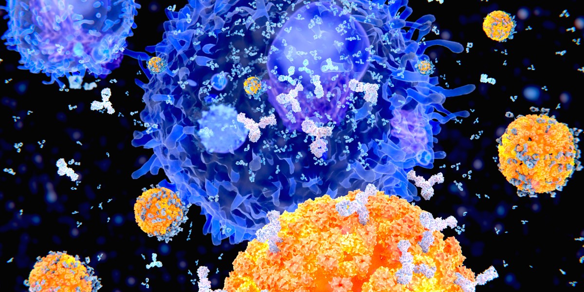 engineered B cells are being used for gene therapy