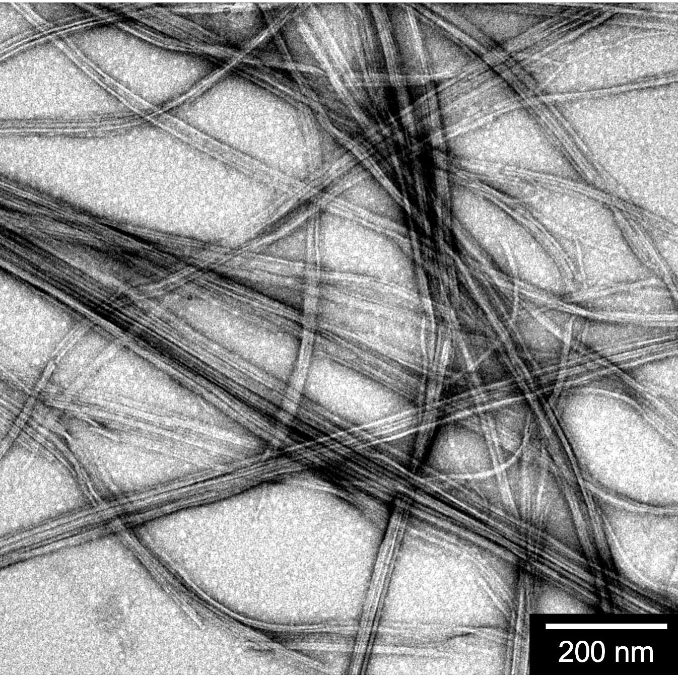 microscope image of nanofibers