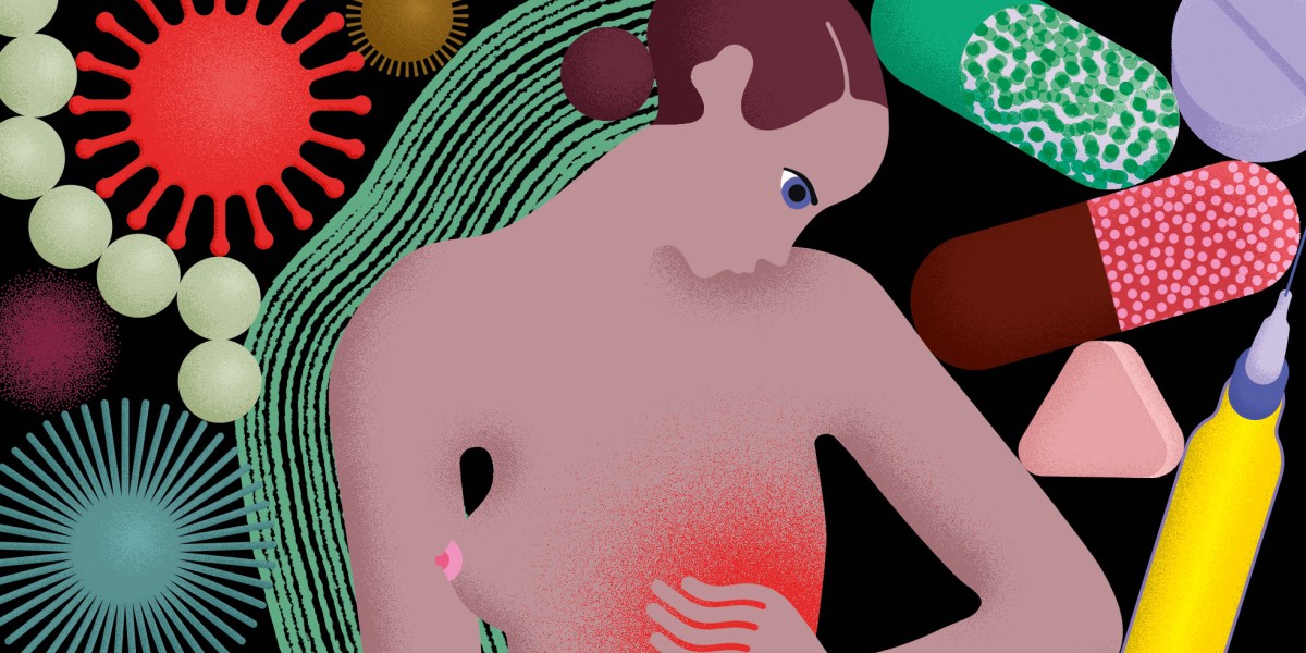 The quest to point out that organic intercourse issues within the immune system