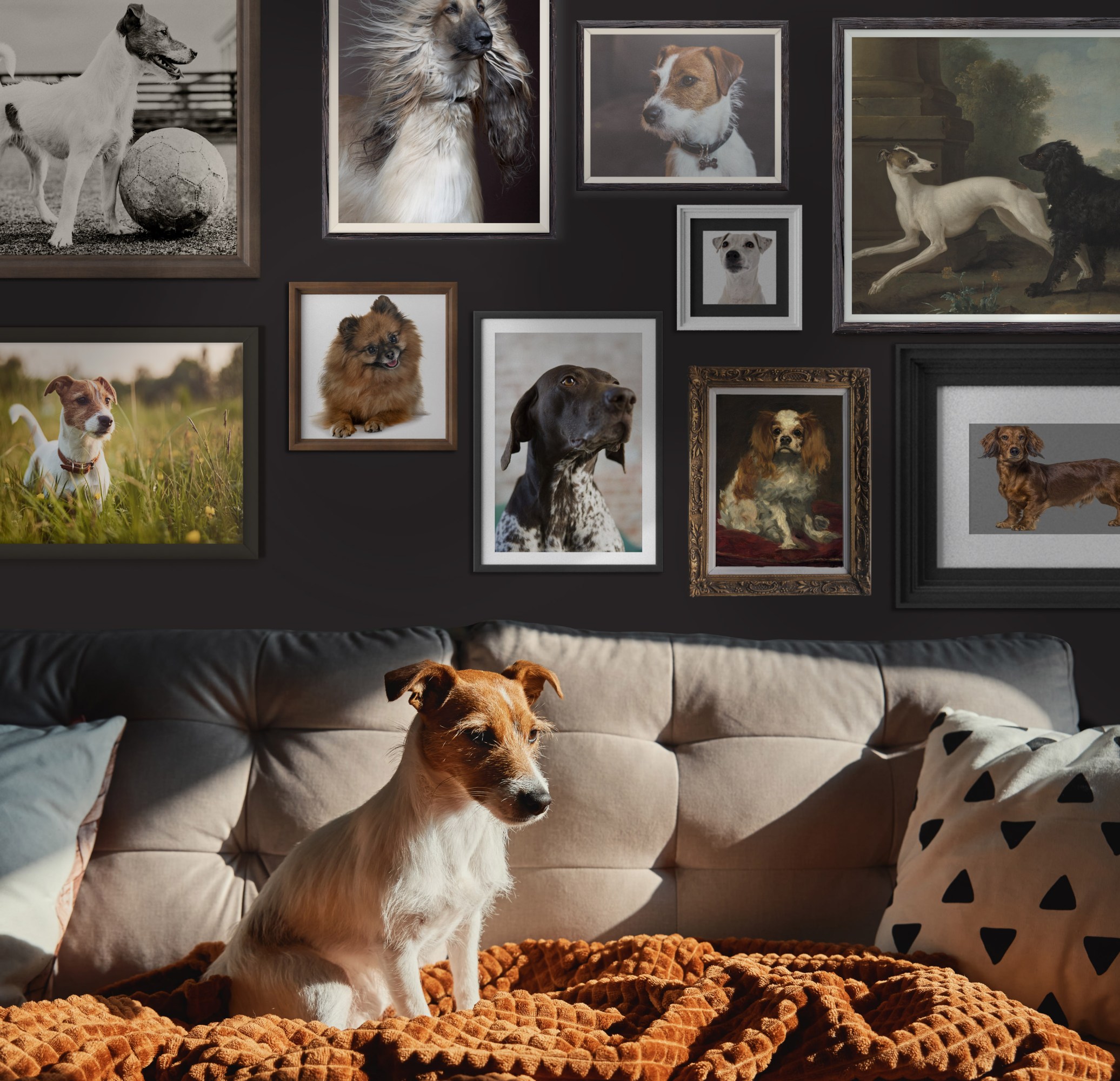 Conceptual illustration of a dog on a sofa with past dogs in a framed portrait behind
