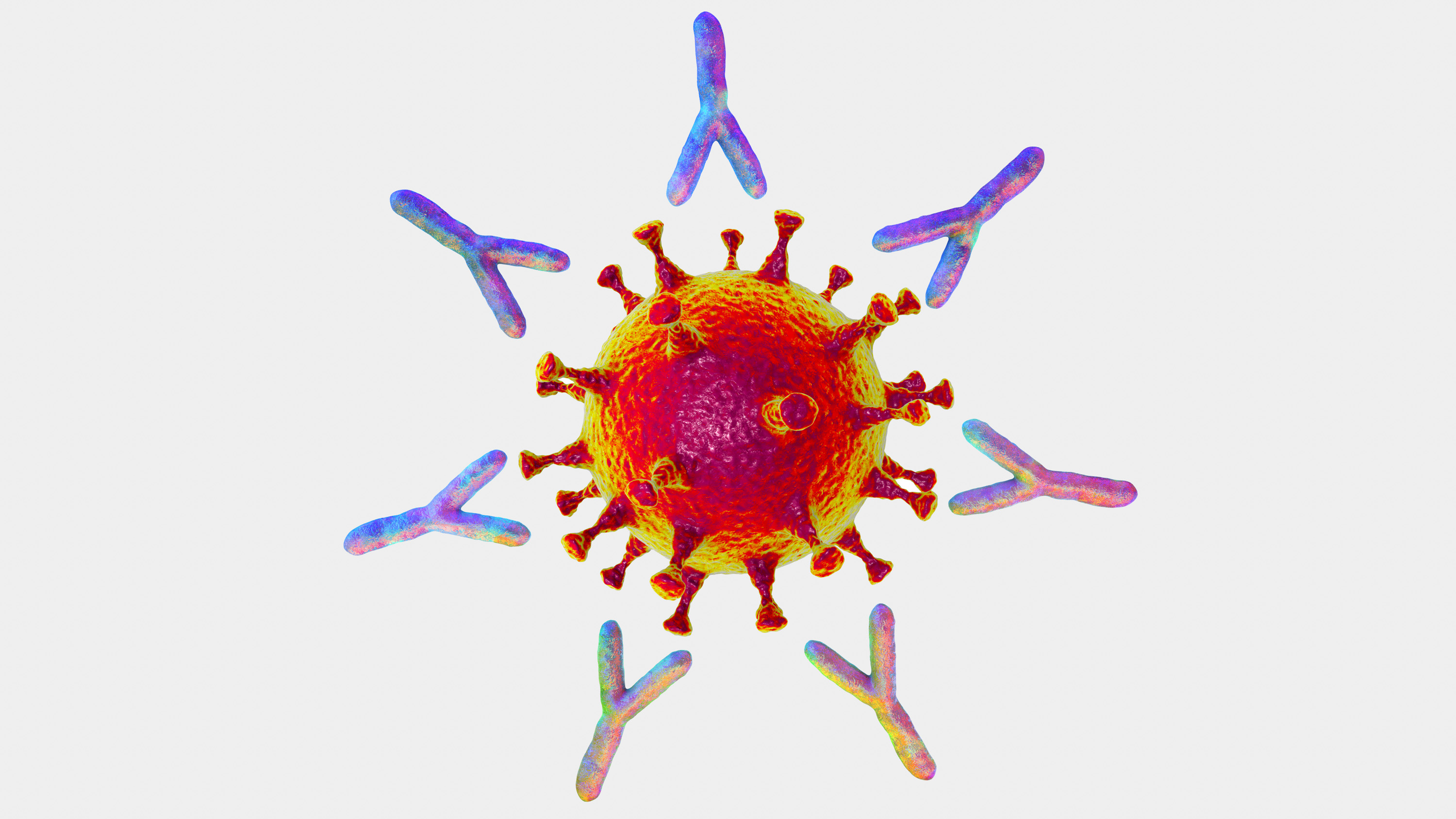 Antibodies encircling a SARS-CoV-2 virus