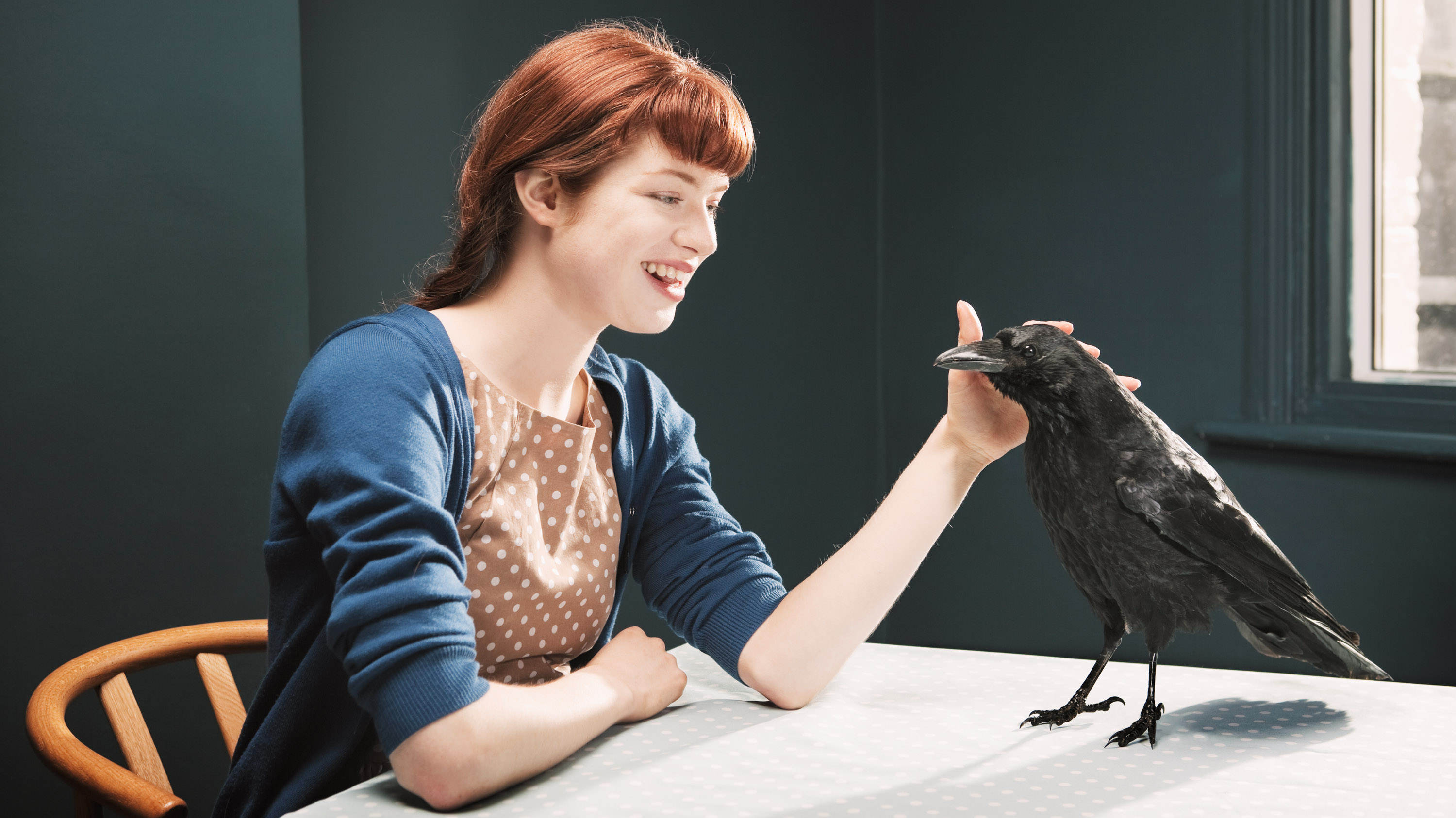 How to befriend a crow | MIT Technology Review