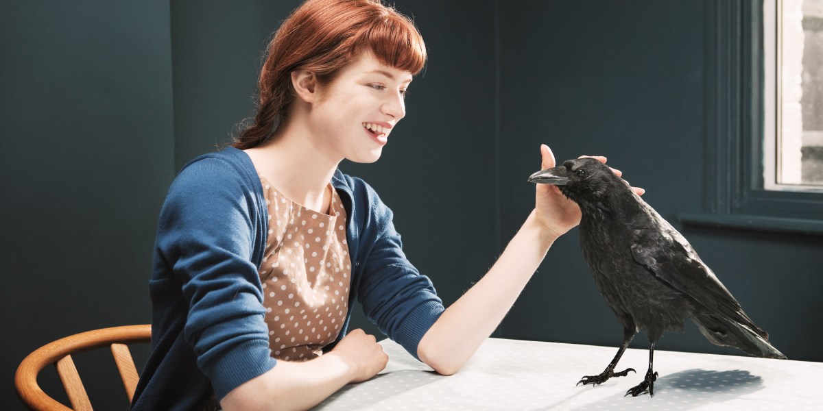 Загрузка: дружба с воронами и твиттер под маской
