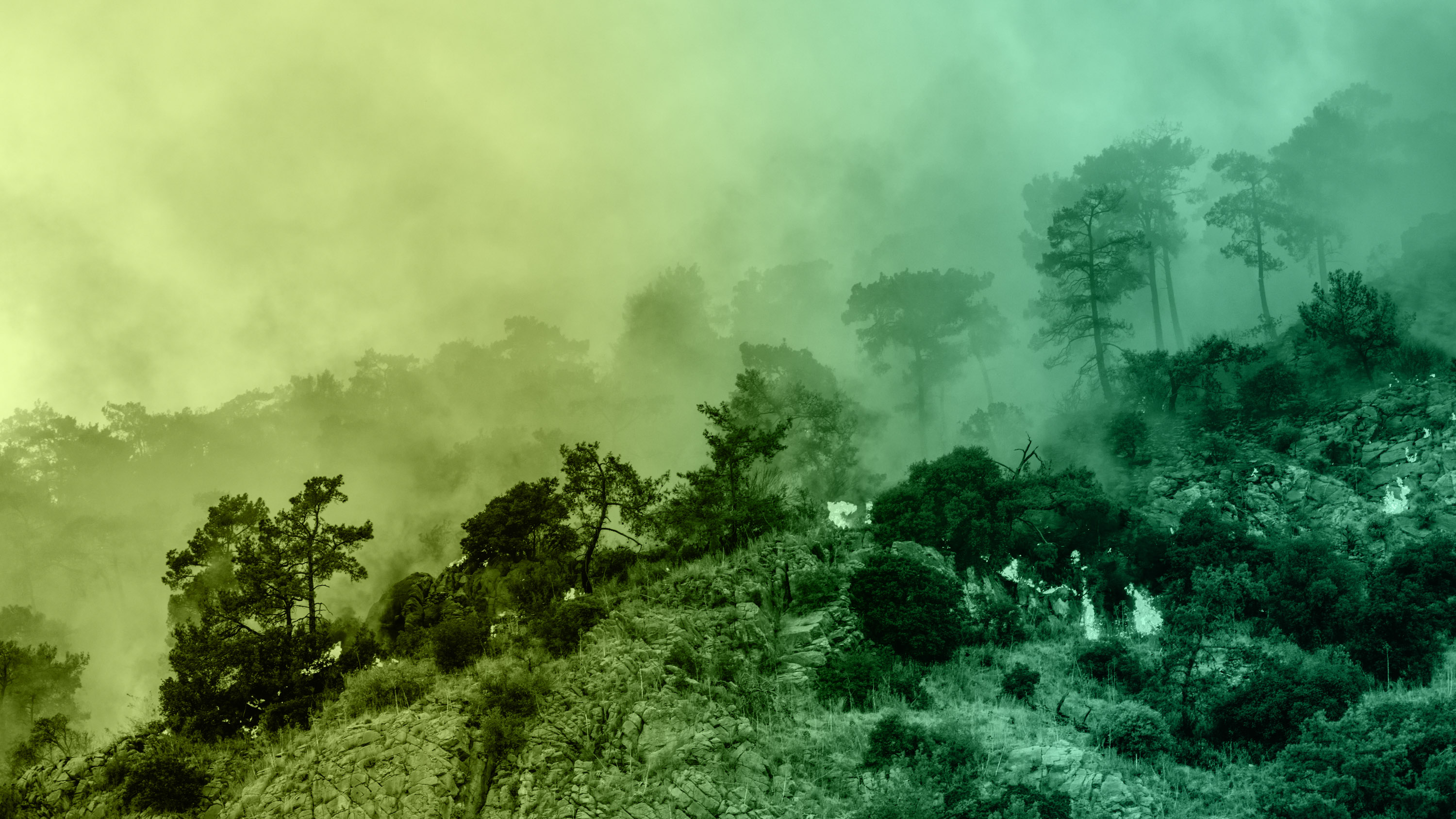forest fire with yellow-green gradient