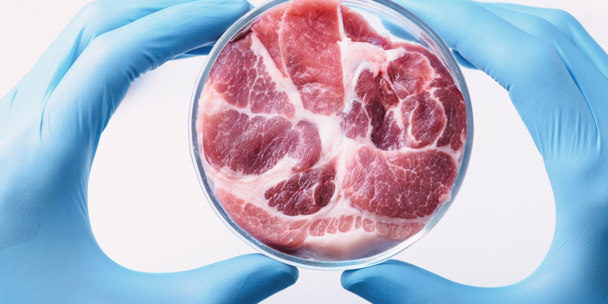 ¿La carne cultivada en laboratorio llegará a nuestros platos?