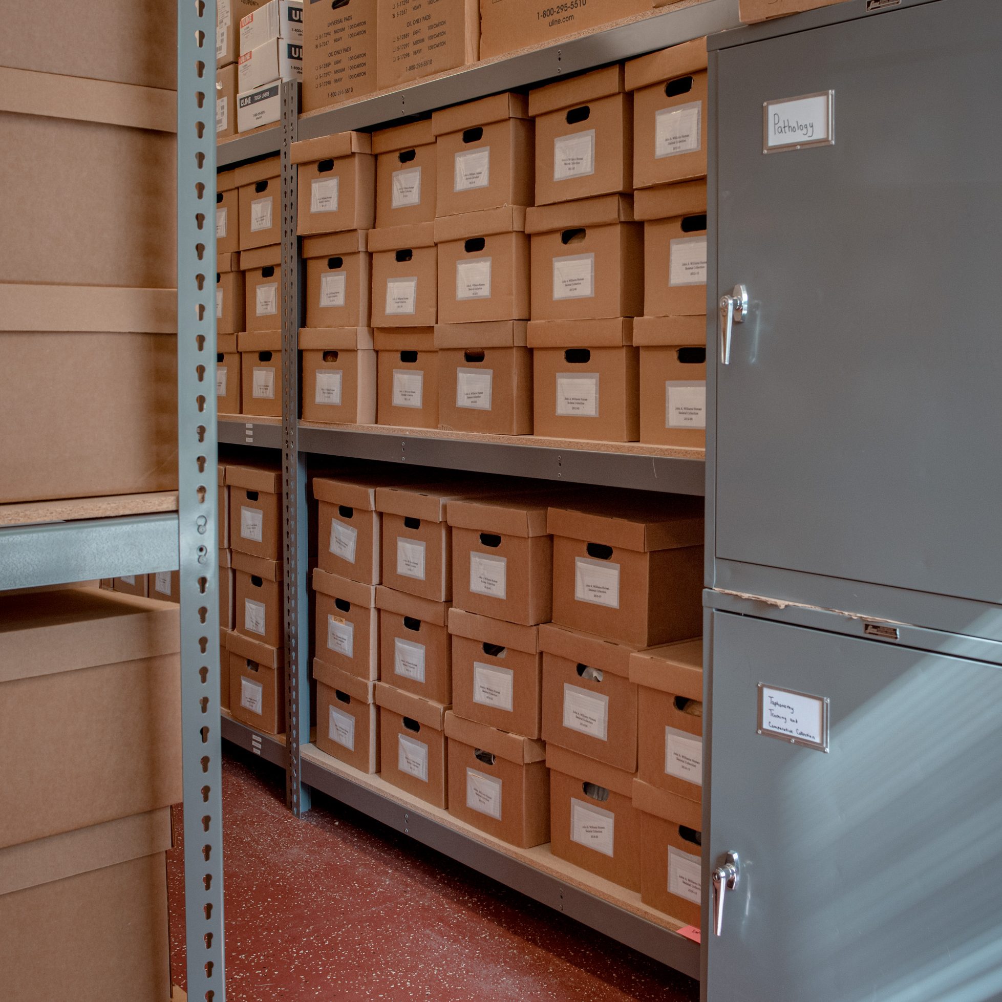 A room of shelved boxes housing the collections of donor remains is seen at the Forensic Anthropology department of Western Carolina University.
