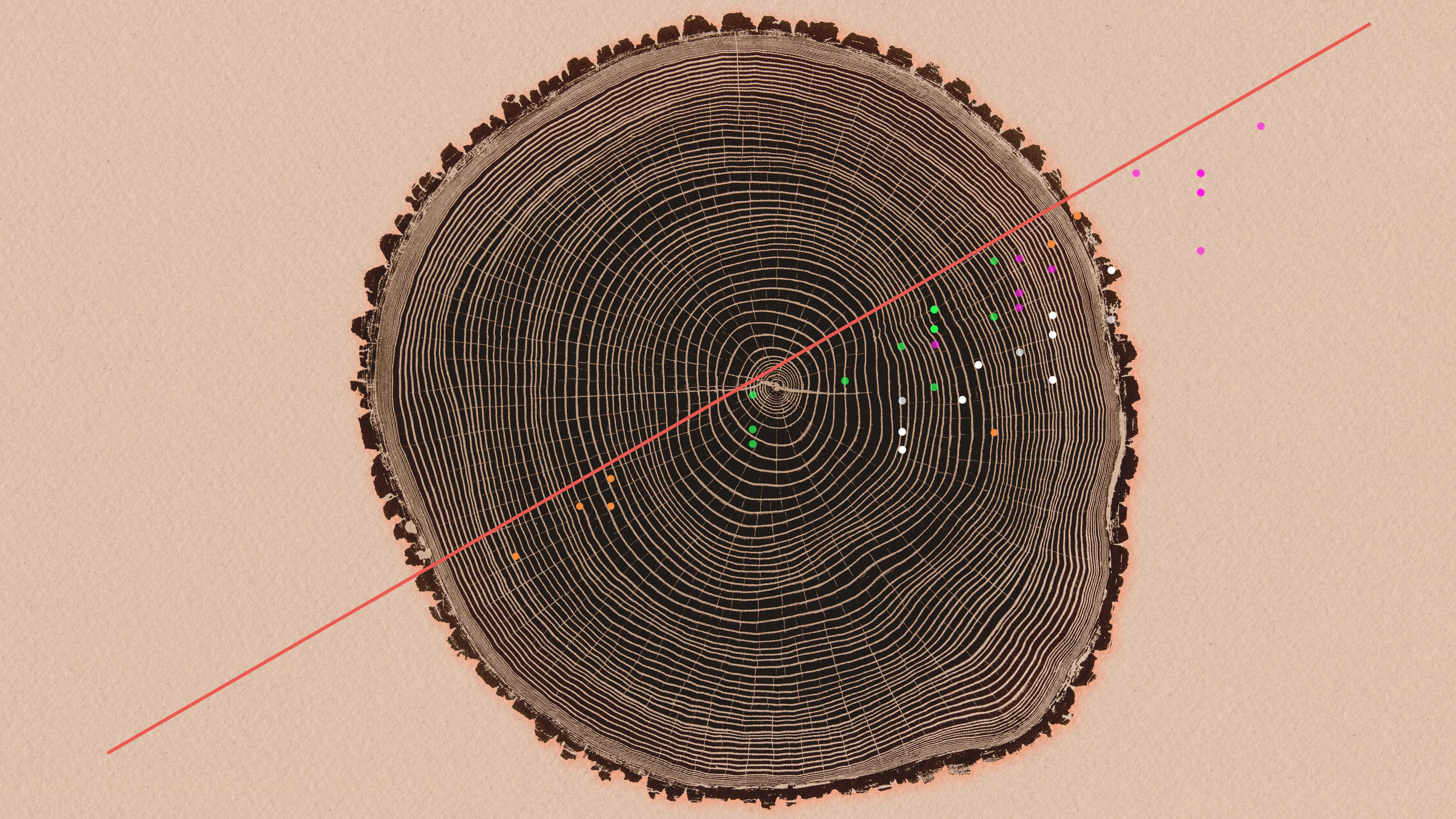 illustration of tree rings with line scatter plot over them