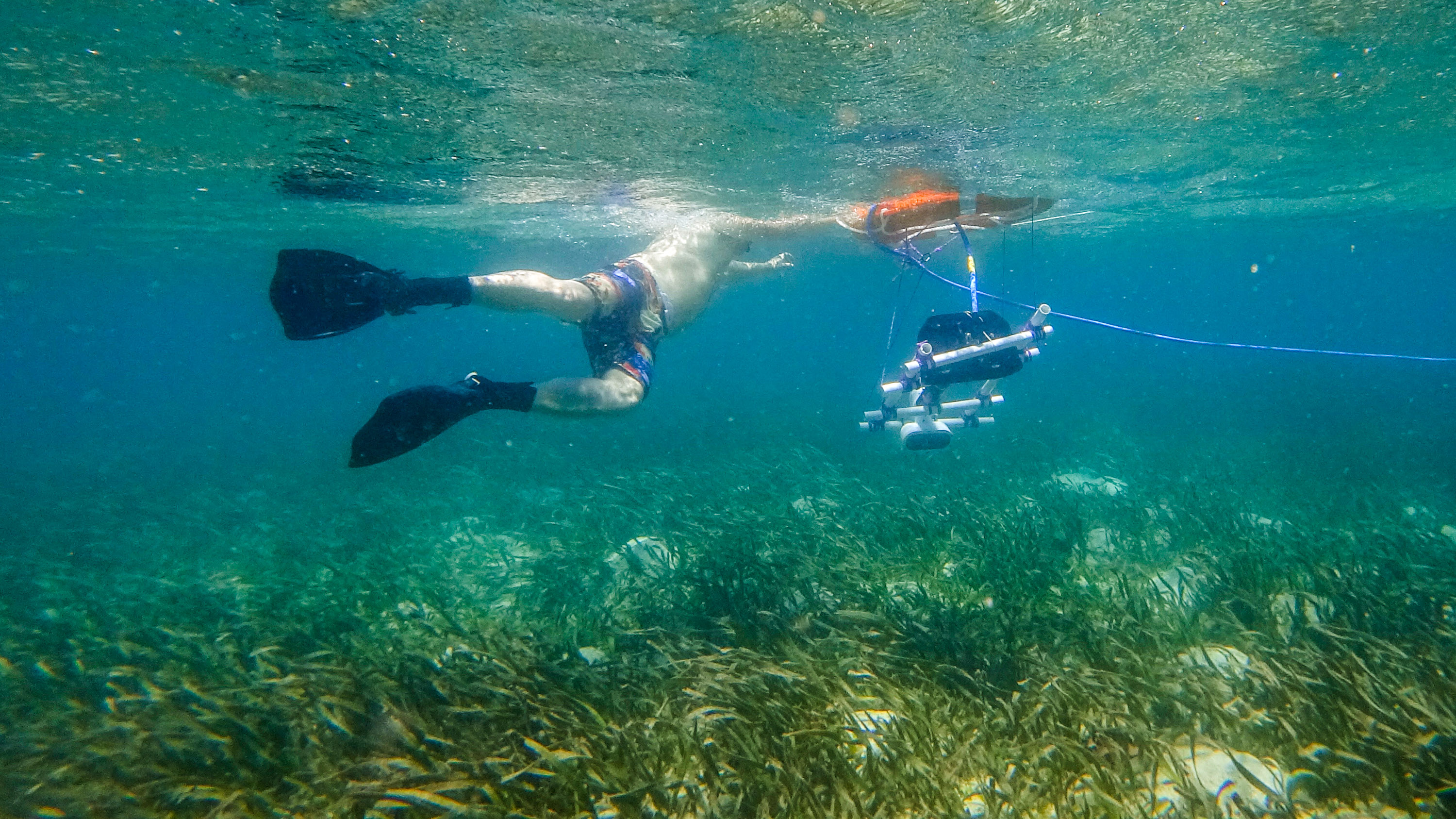 underwater view of person in flippers puling camera system over seagrass