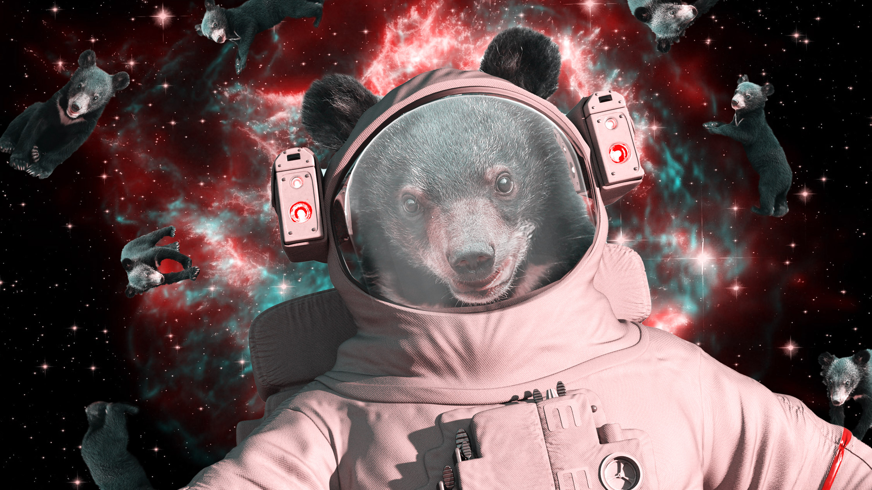 photo illustration of bears floating in the vacuum of space