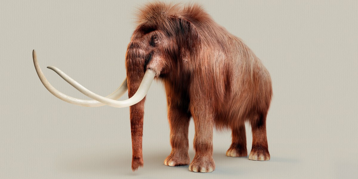 The Download: resurrecting mammoths, and the climate bill’s big flaw thumbnail