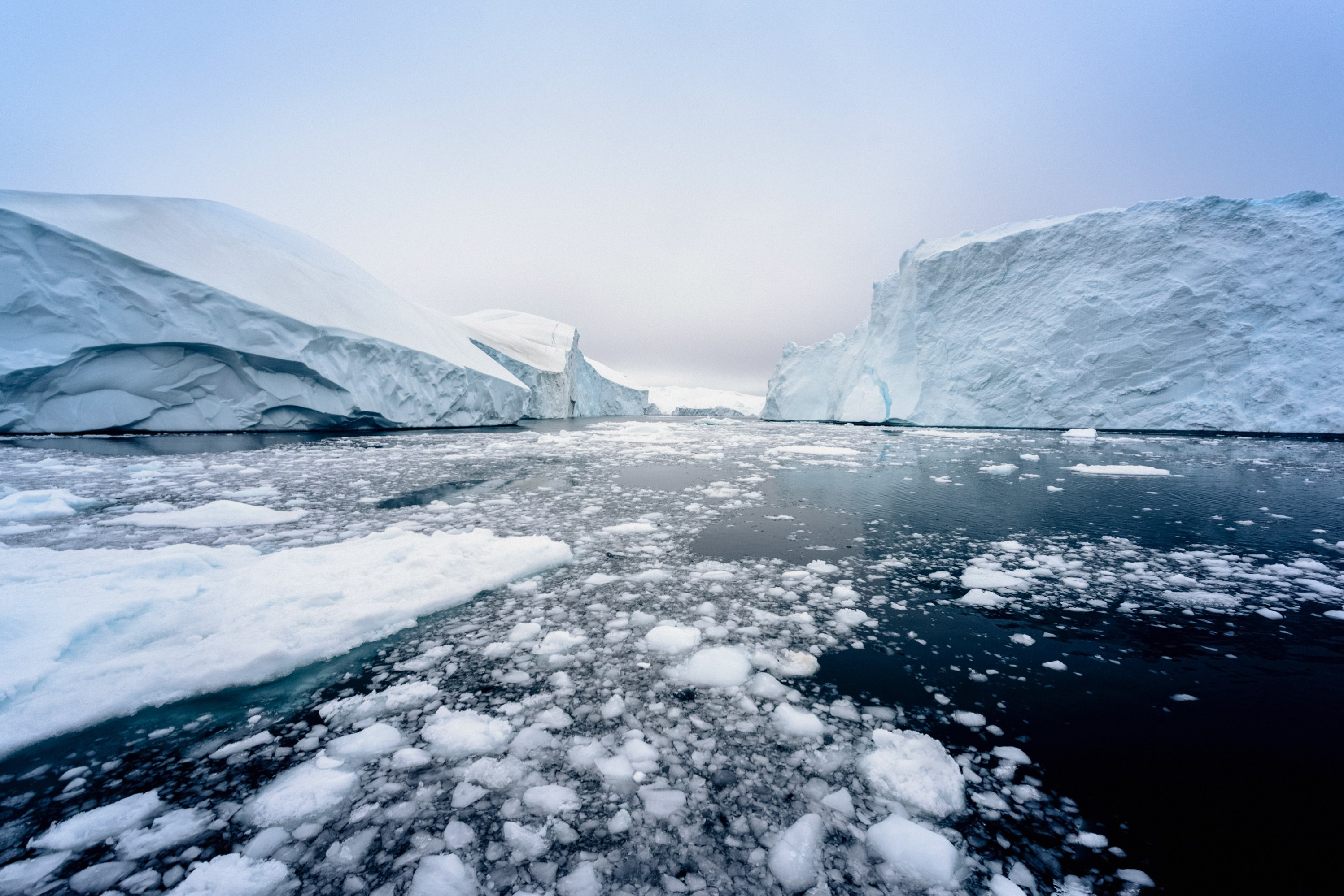 Arctic icebergs in the sea near Greenland