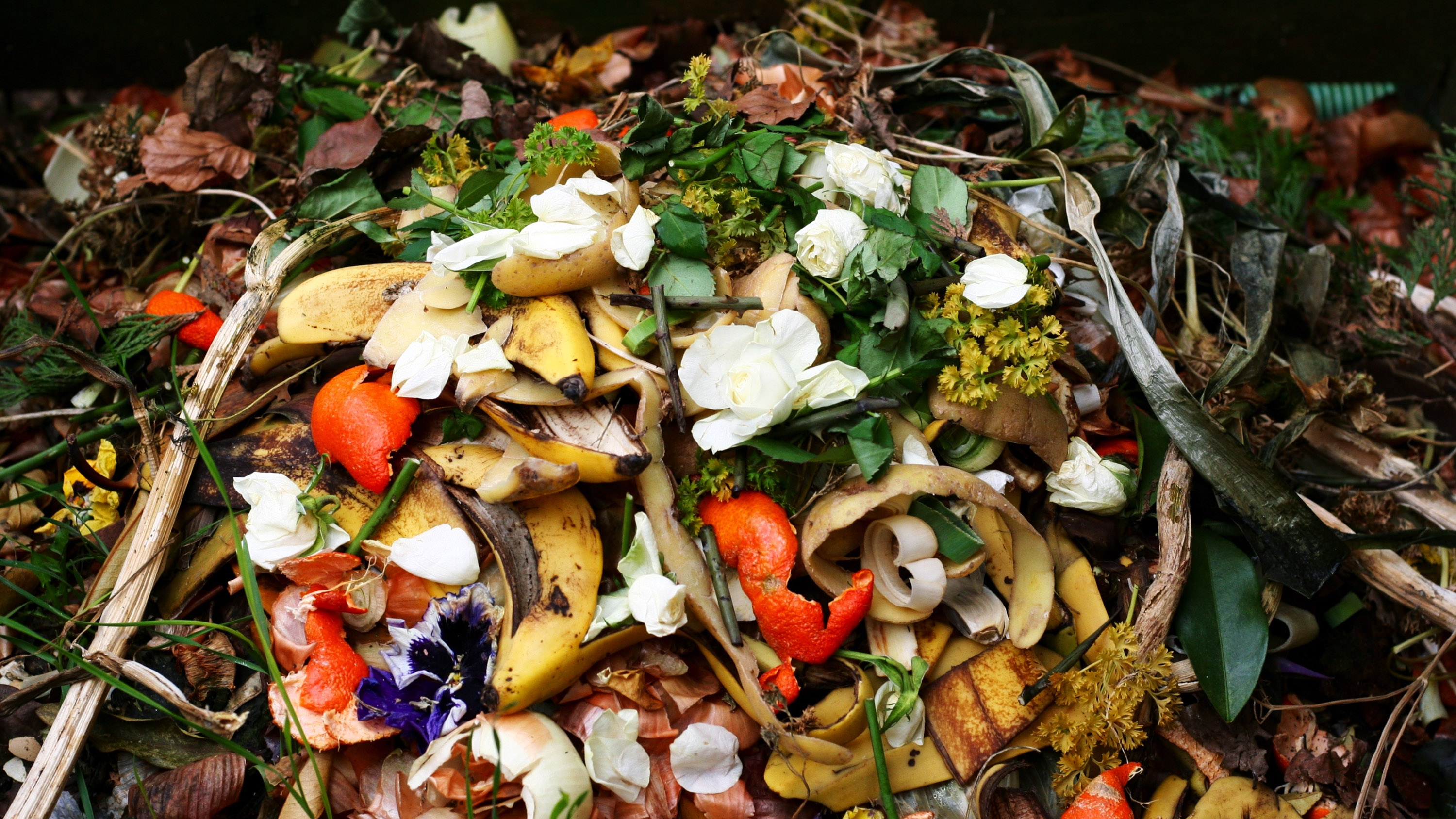 Frischer Bioabfall und Kompost